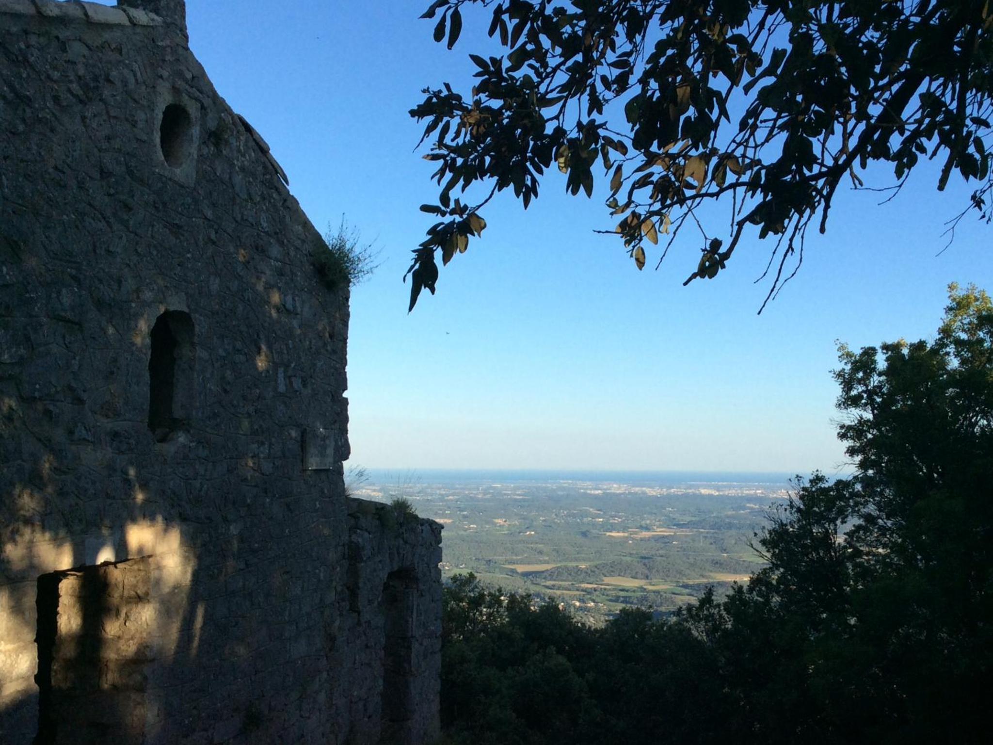 Le Castellas du Pic St Loup