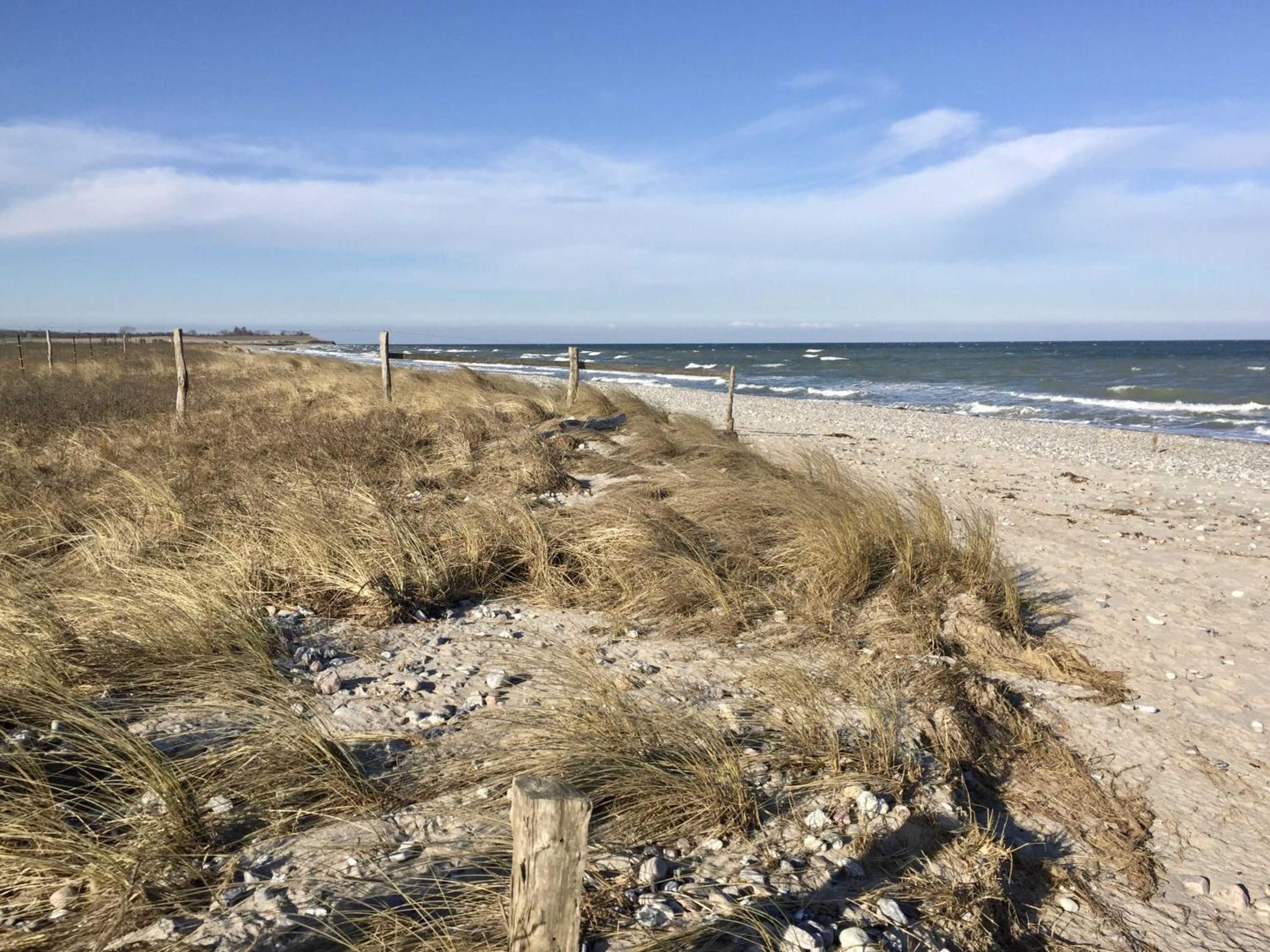 Reetdachkaten in Schuby, Ostsee