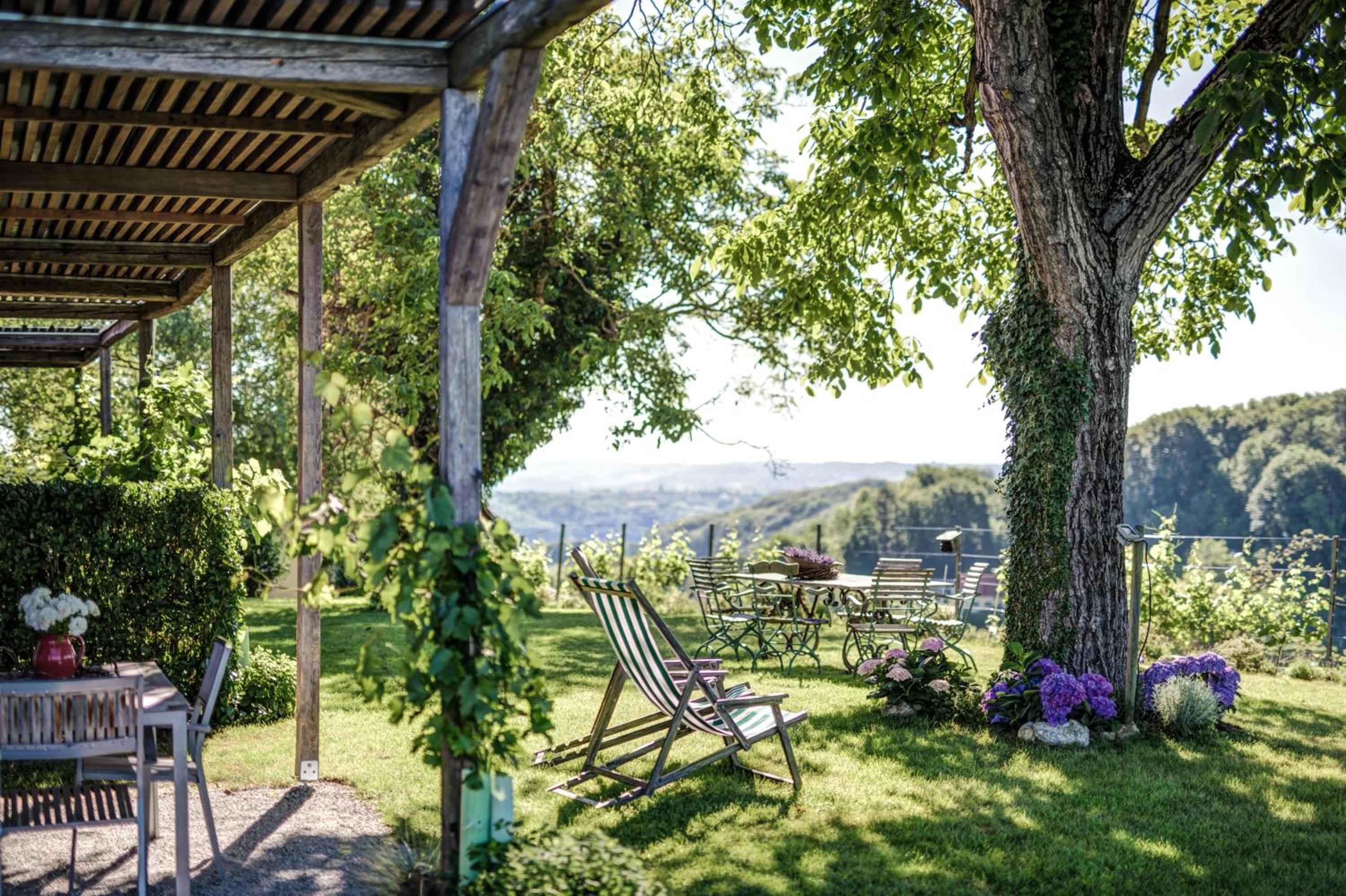 Winzarei, Weingut Tement