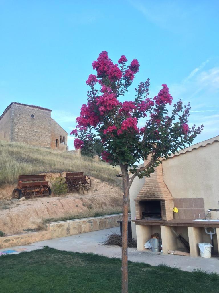 Photo 16
