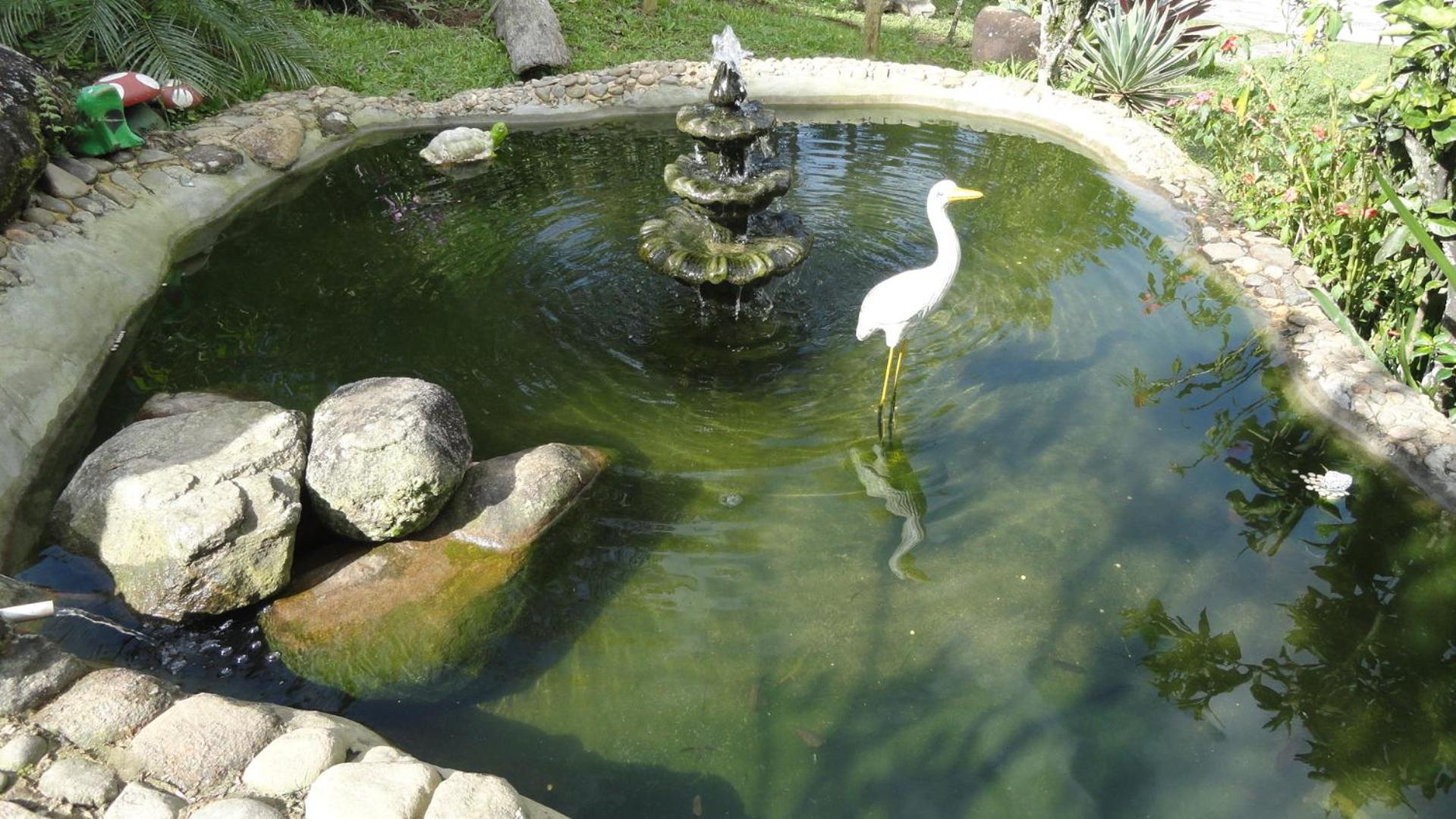 Pousada Chácara do Rio