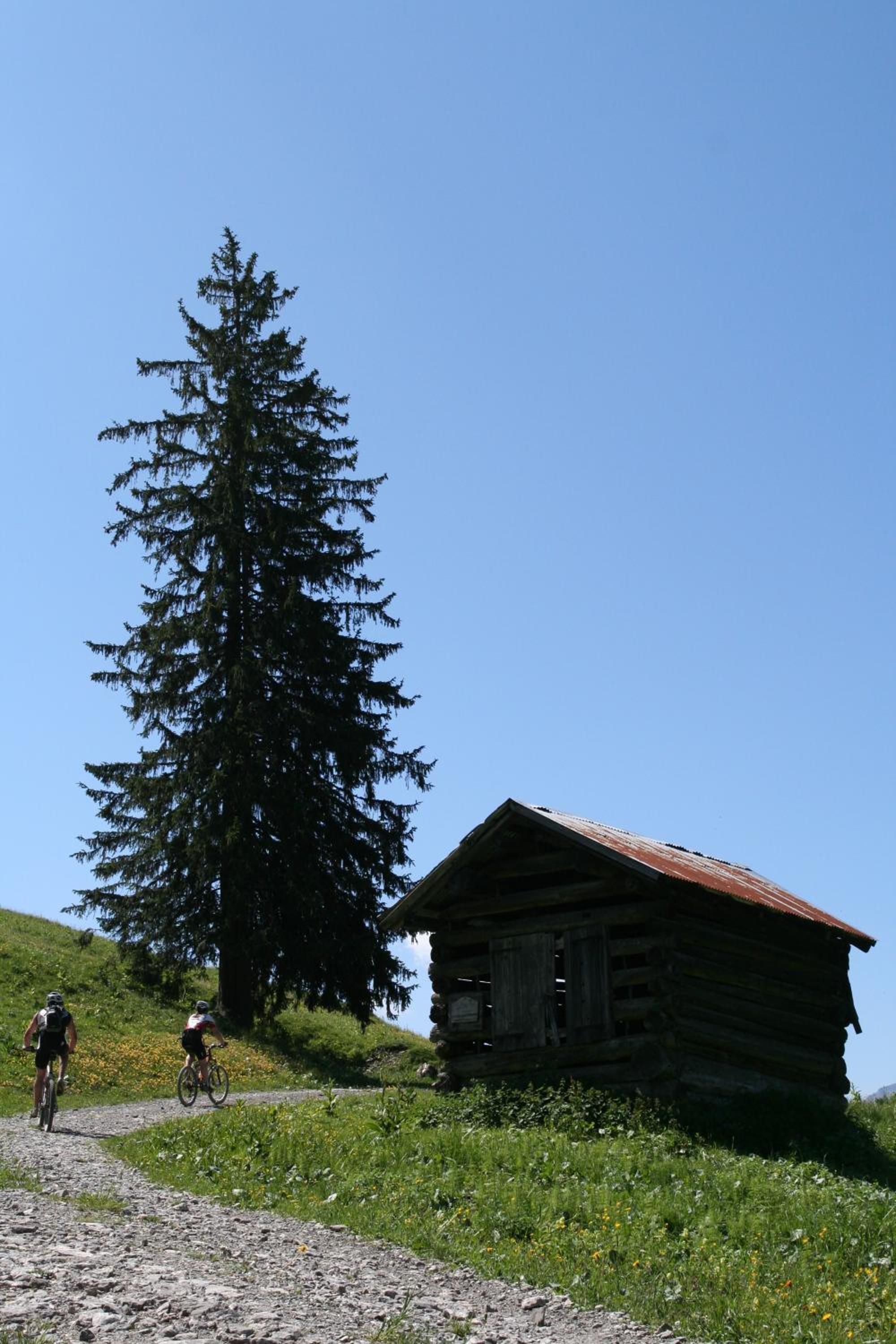 Haus Alpenecho