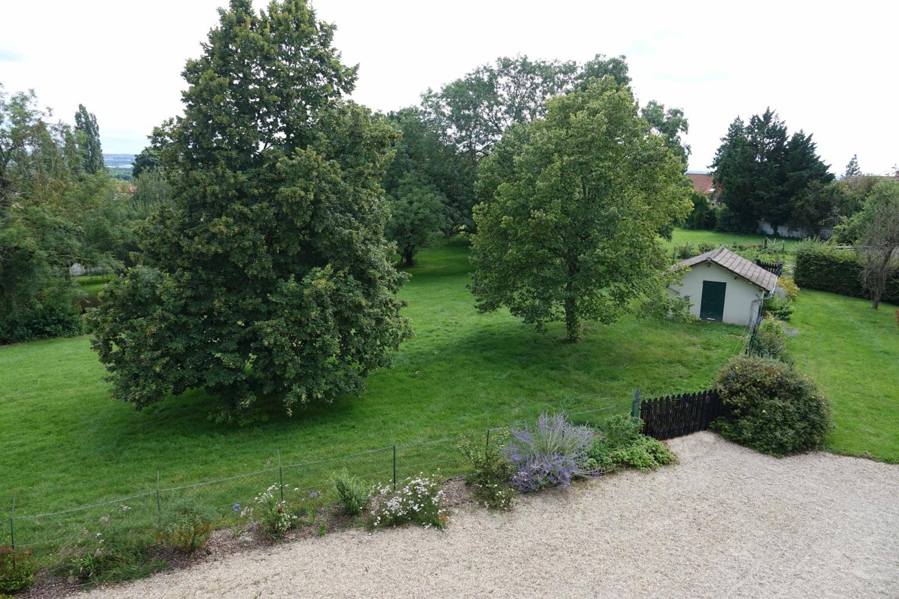 Photo 26