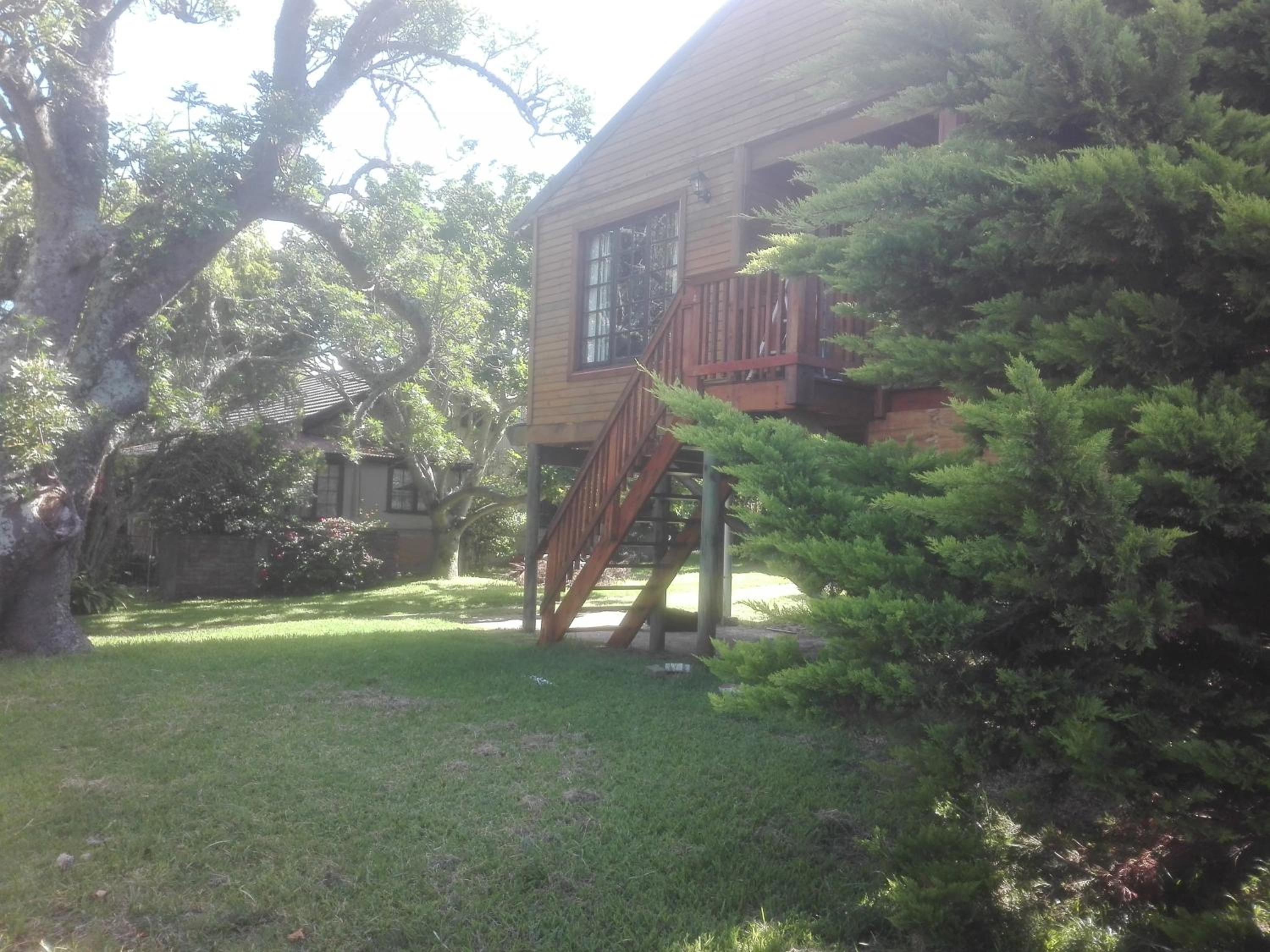 Emerald Hill Cabin view 2