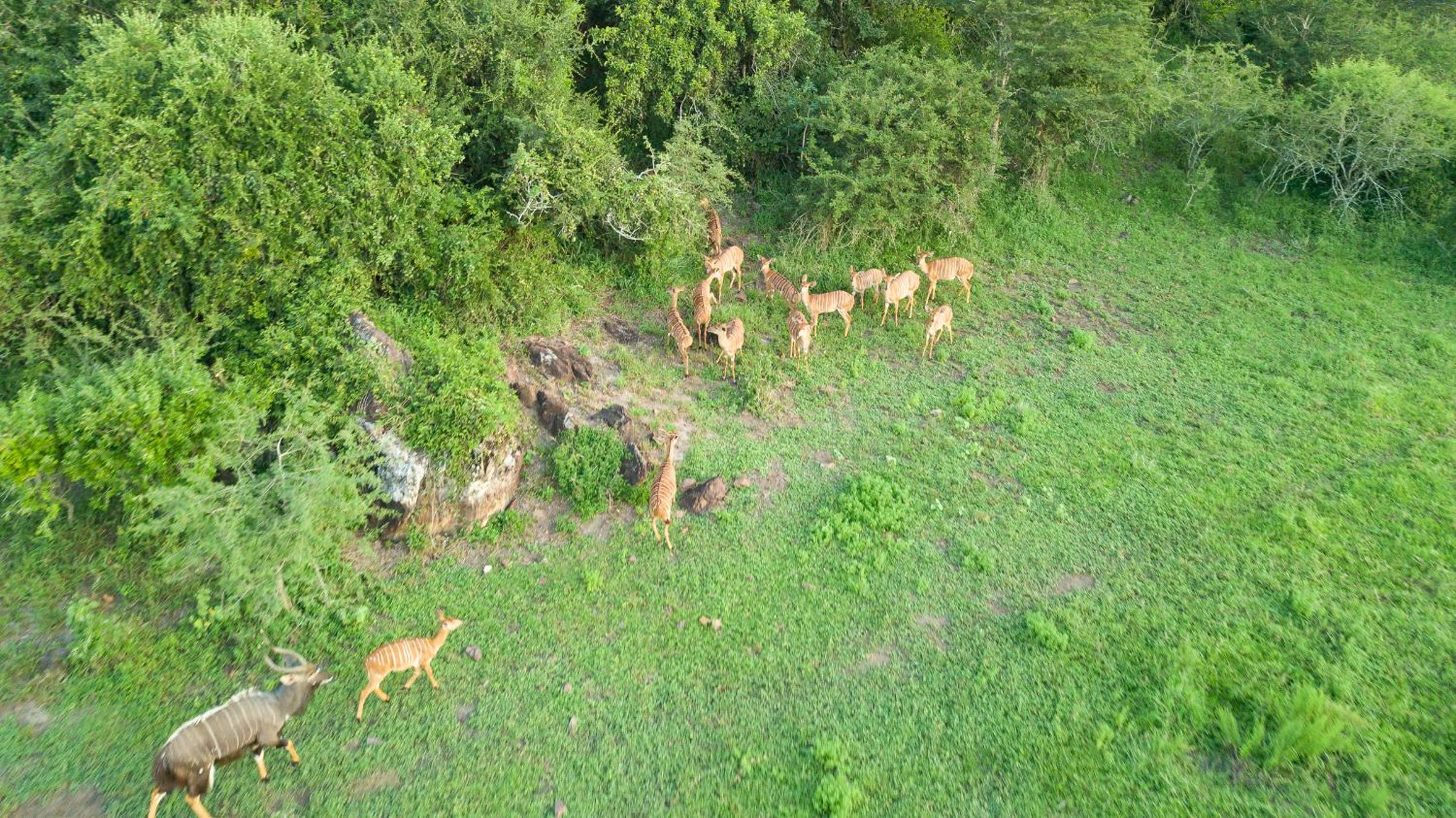 Hluhluwe Vacations - Zululand Lodge - Property Image 8