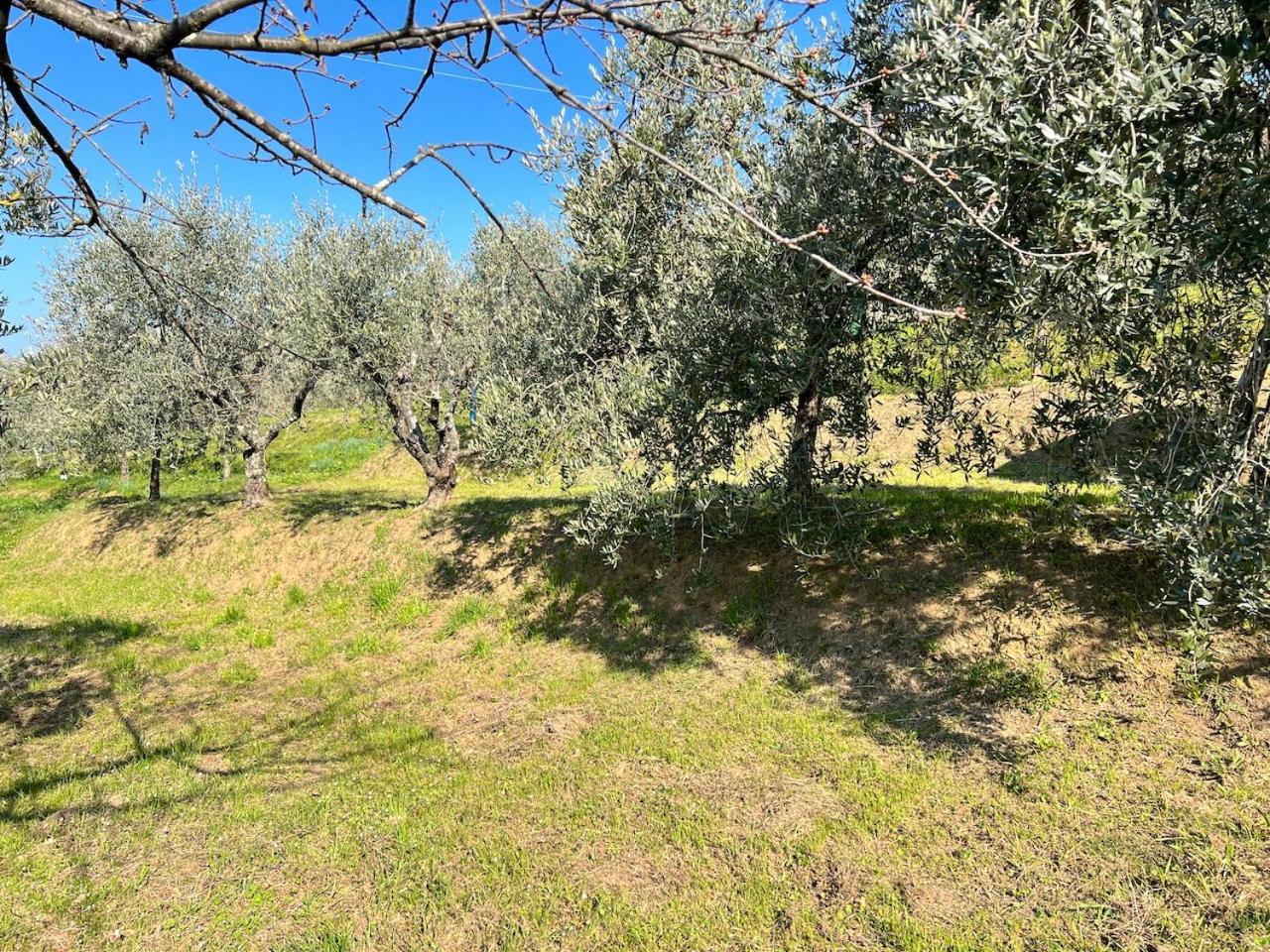 Casa Pozzi