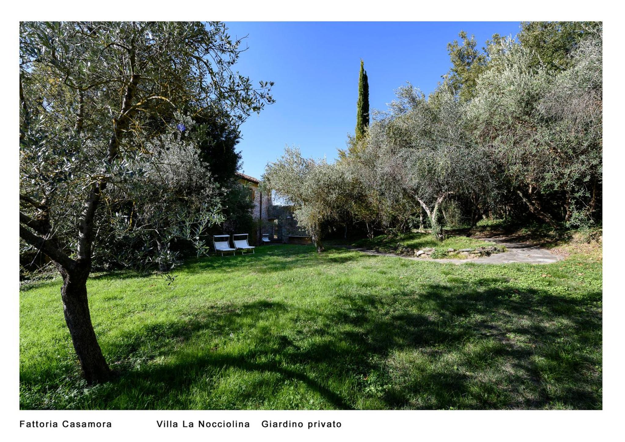 Fattoria Casamora - Villa La Nocciolina view 3