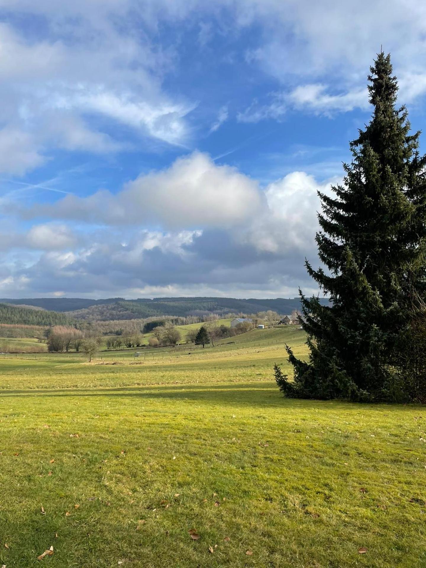 Les Caliciades 3 à Gros-Fays view 5
