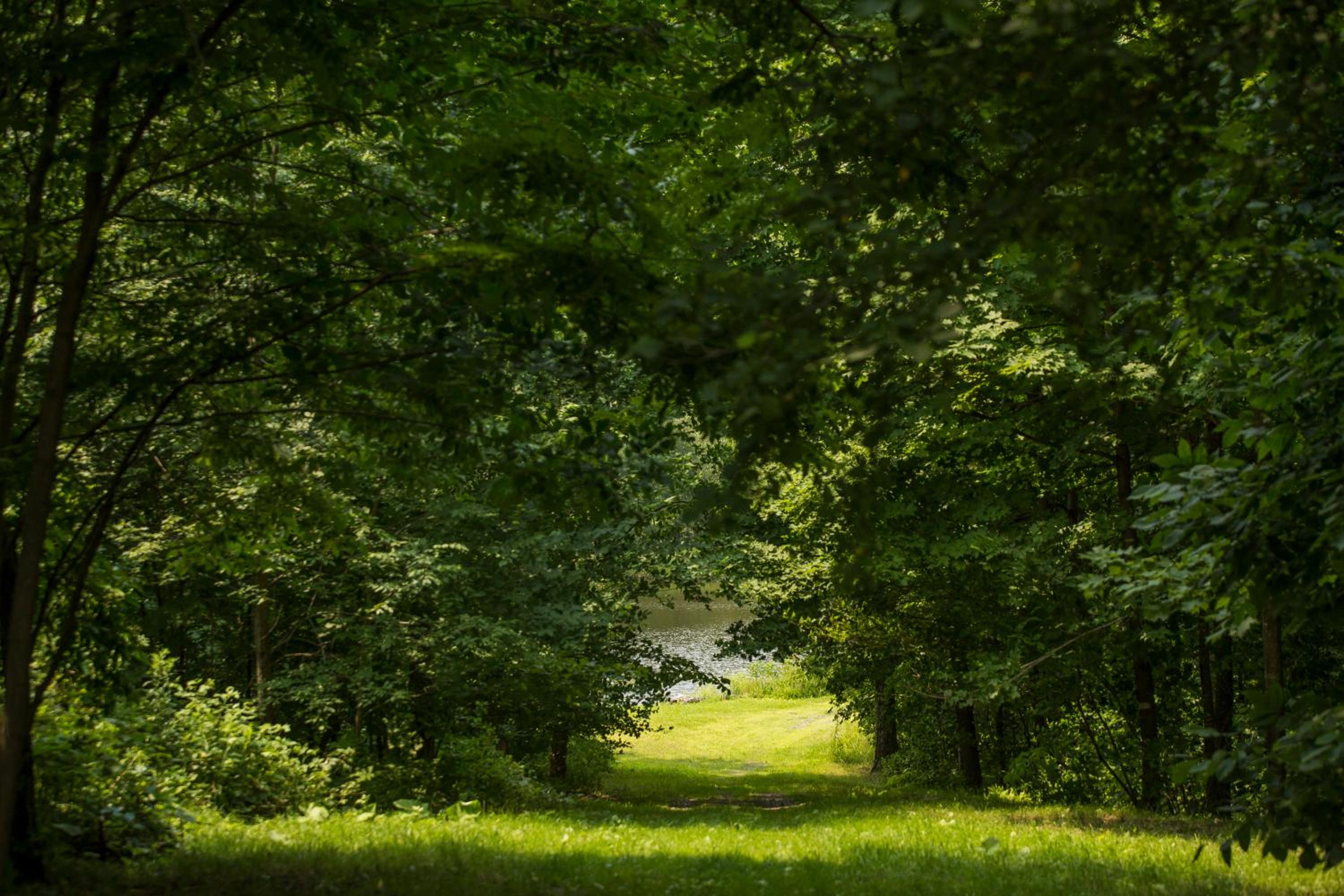 Domaine Jolivent