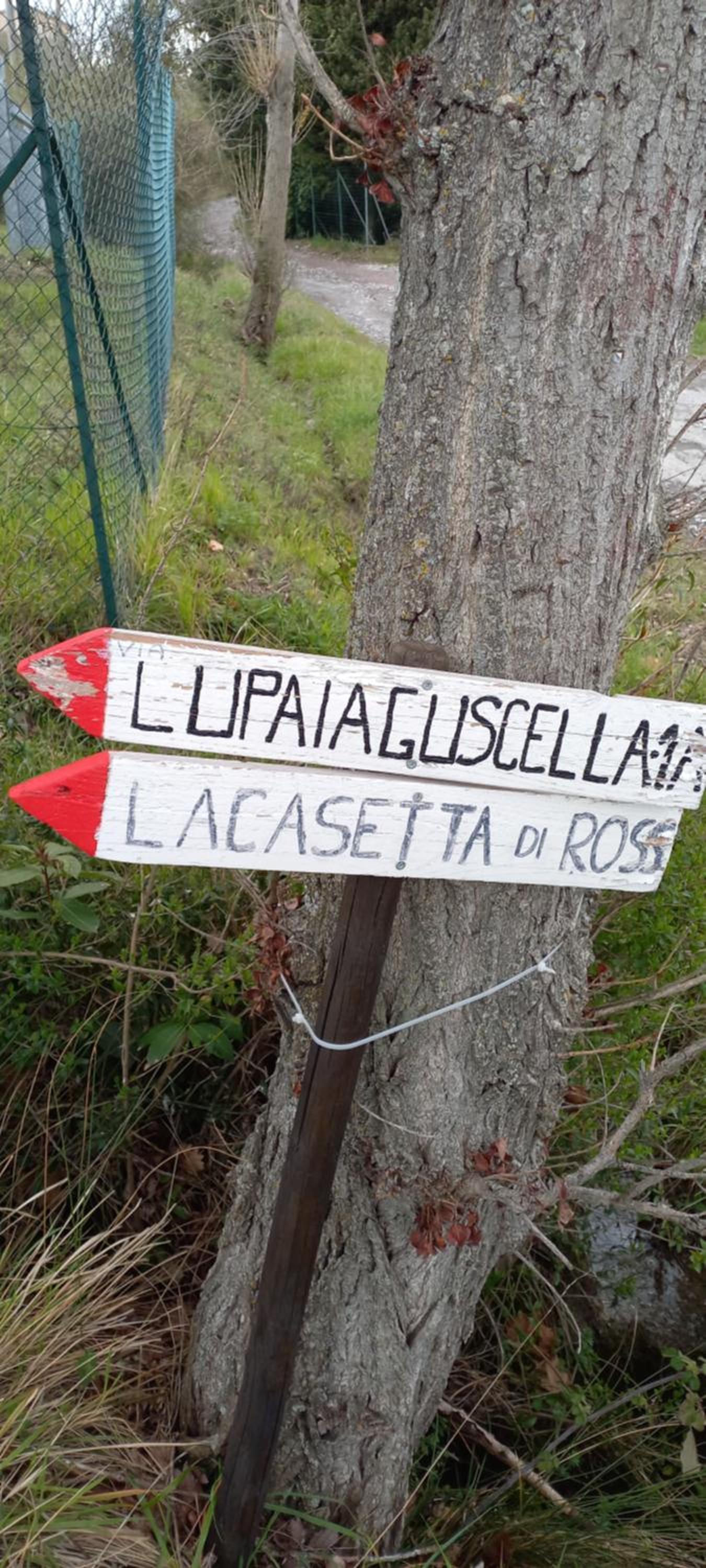 Photo 35