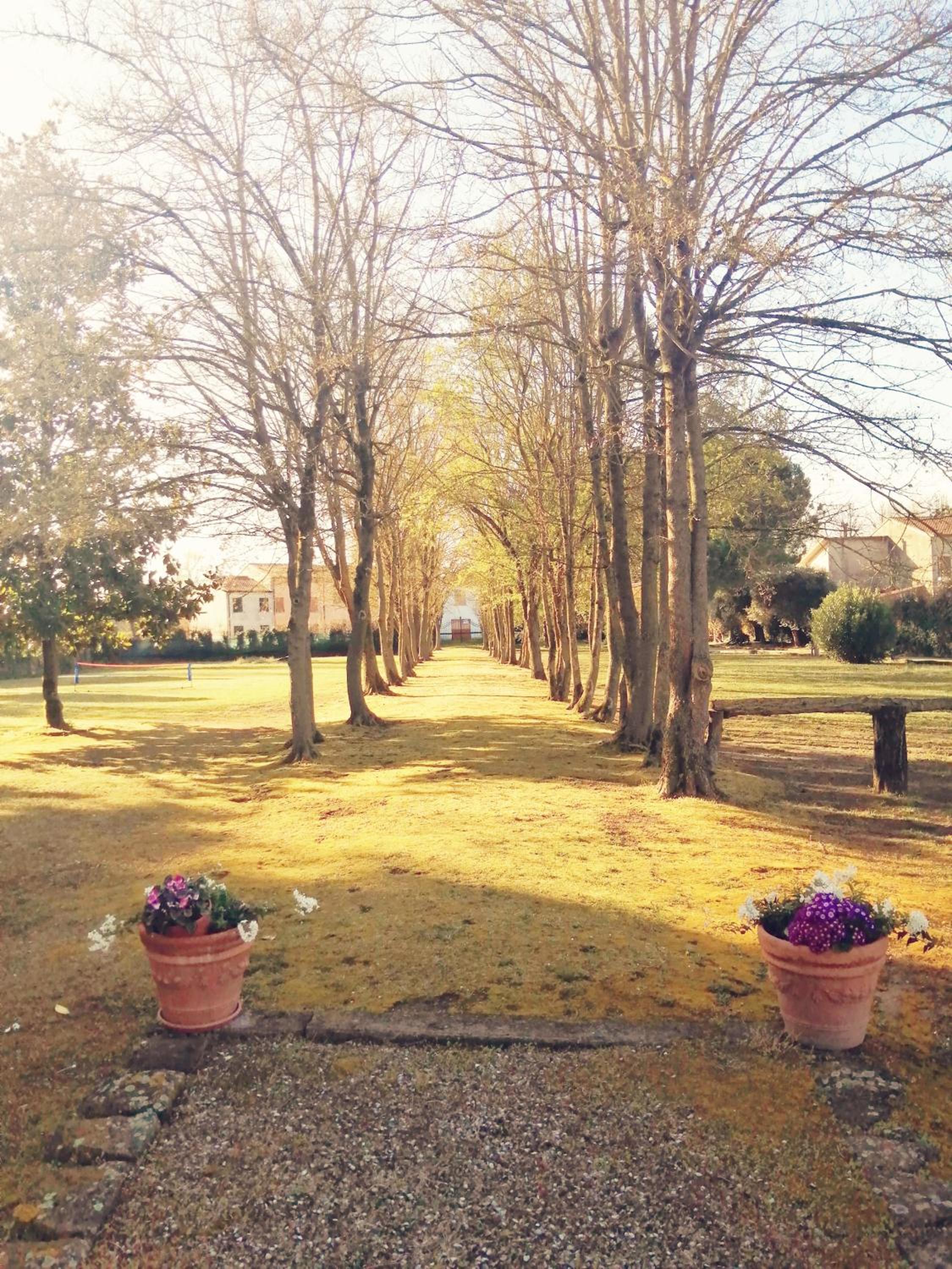 B&B FETONTE