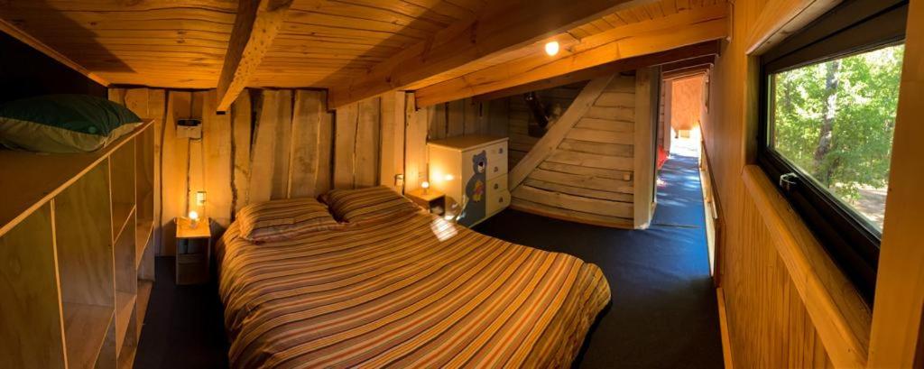 Andrómeda Lodge
