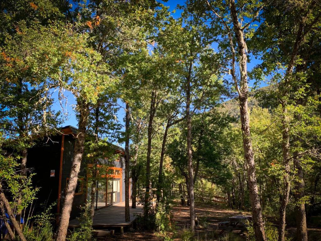 Andrómeda Lodge