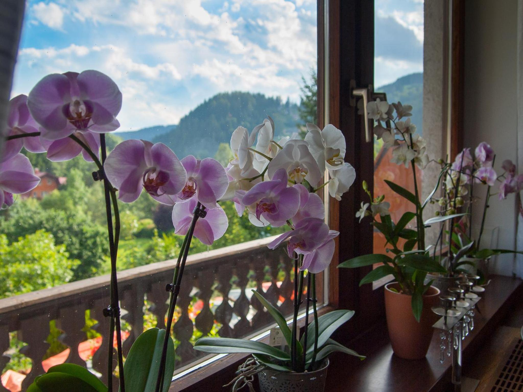 Alpenpension Gasthof