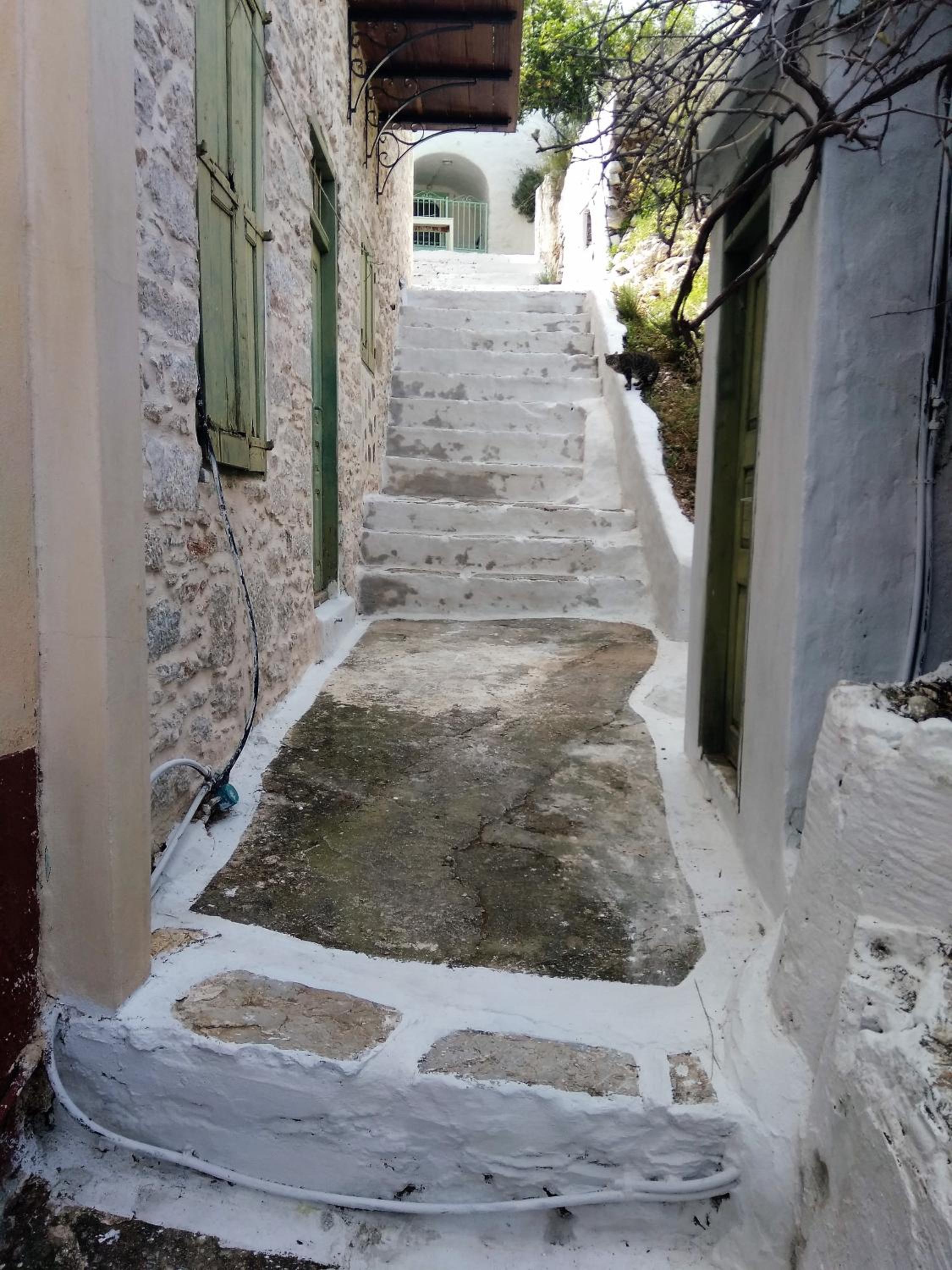 GRANDMA'S HOUSE