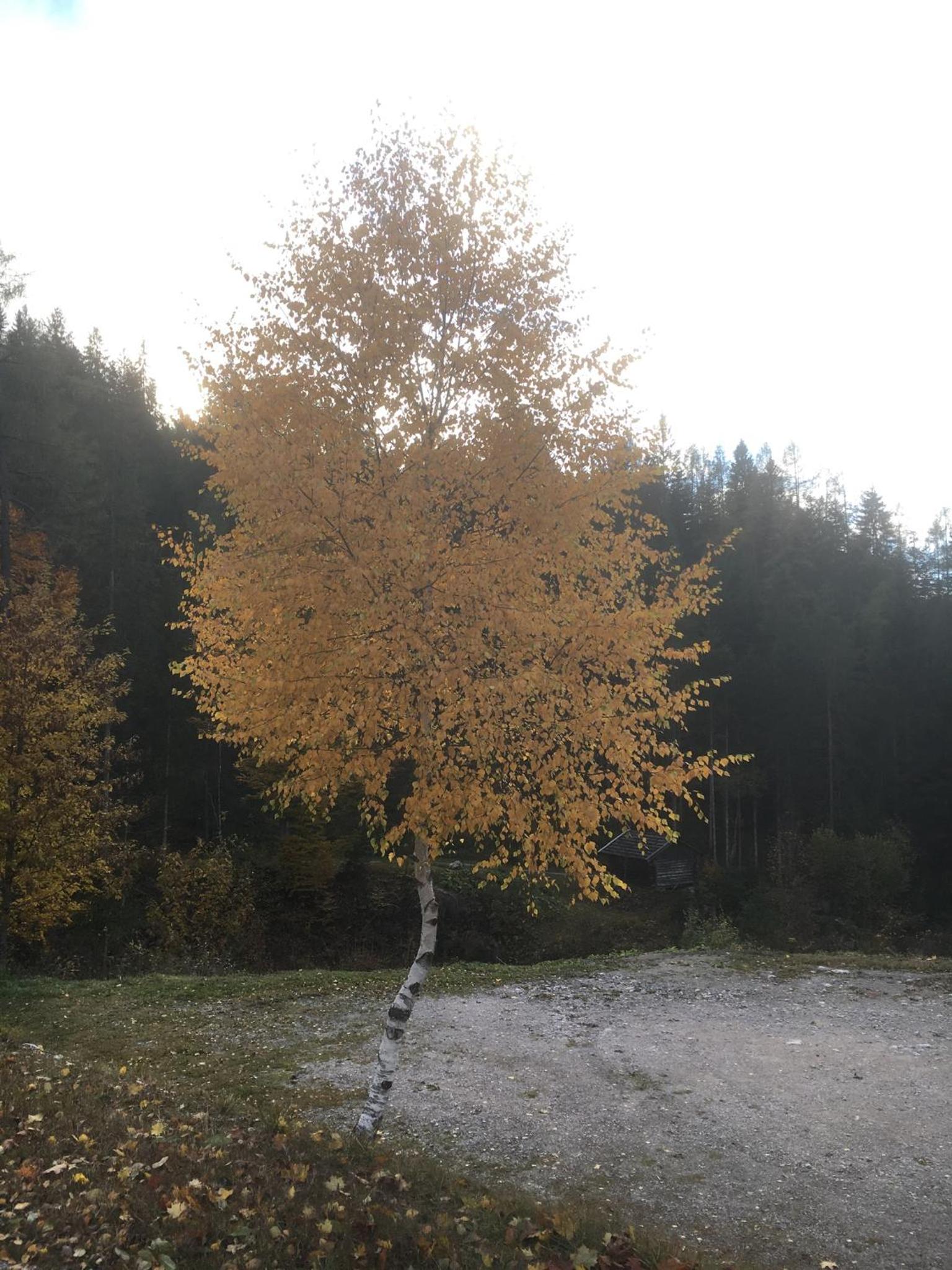 Photo 29
