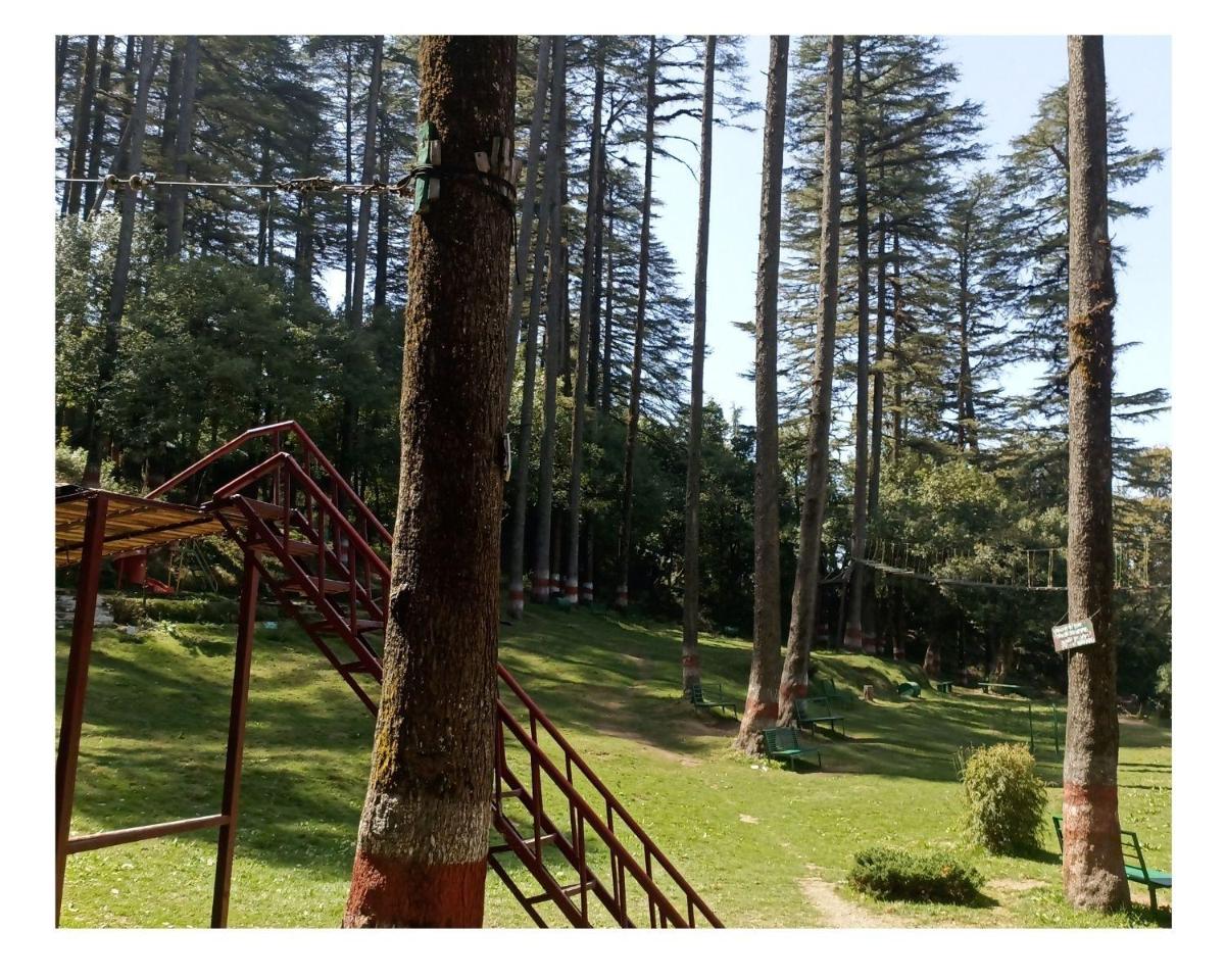 children's play area