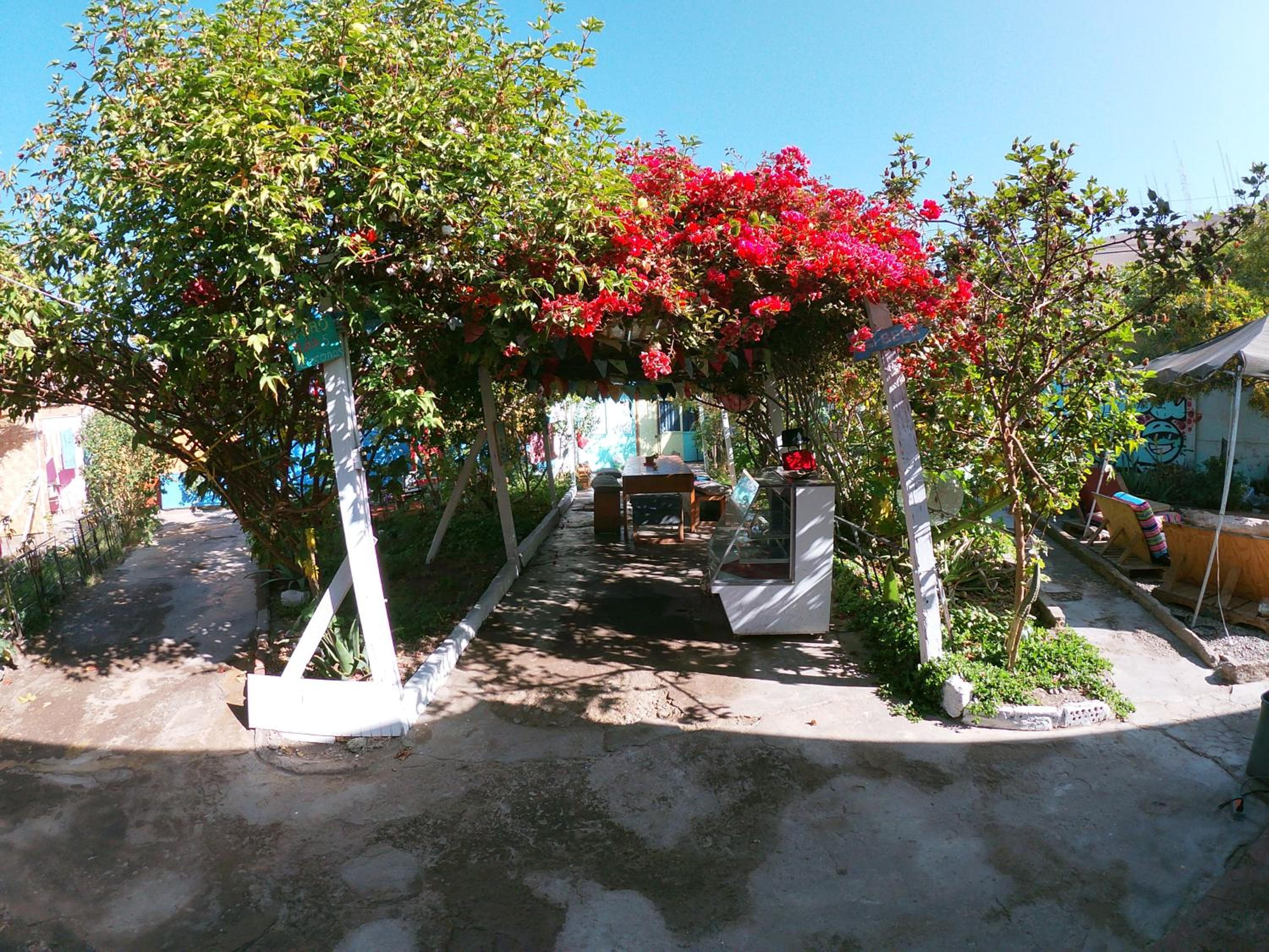 Photo 19