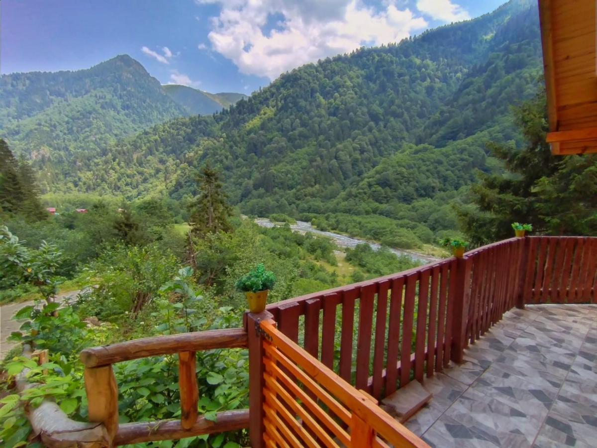 Ladin Manzaralı Dağ evi view 3