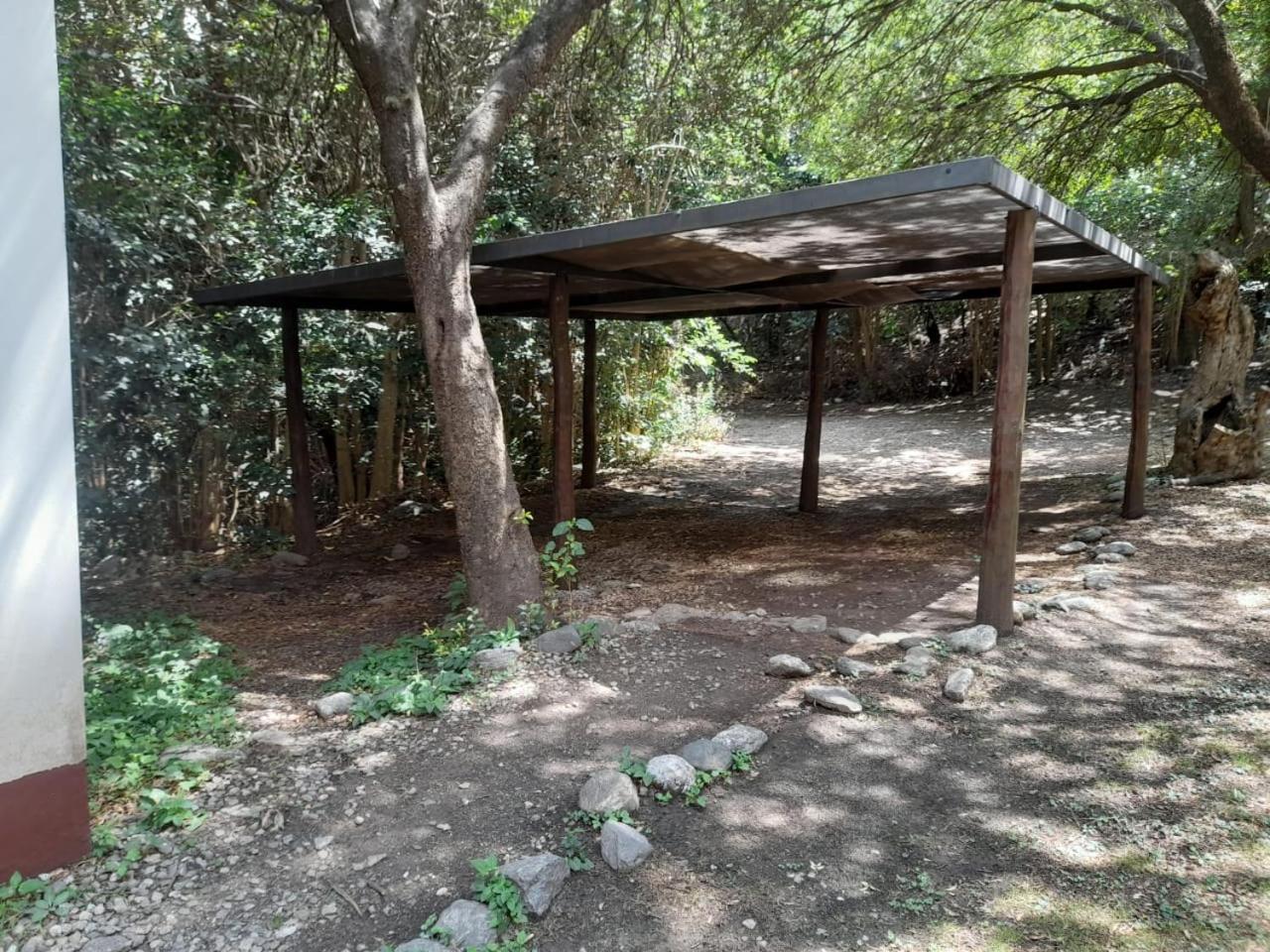 Cabañas del bosque merlo