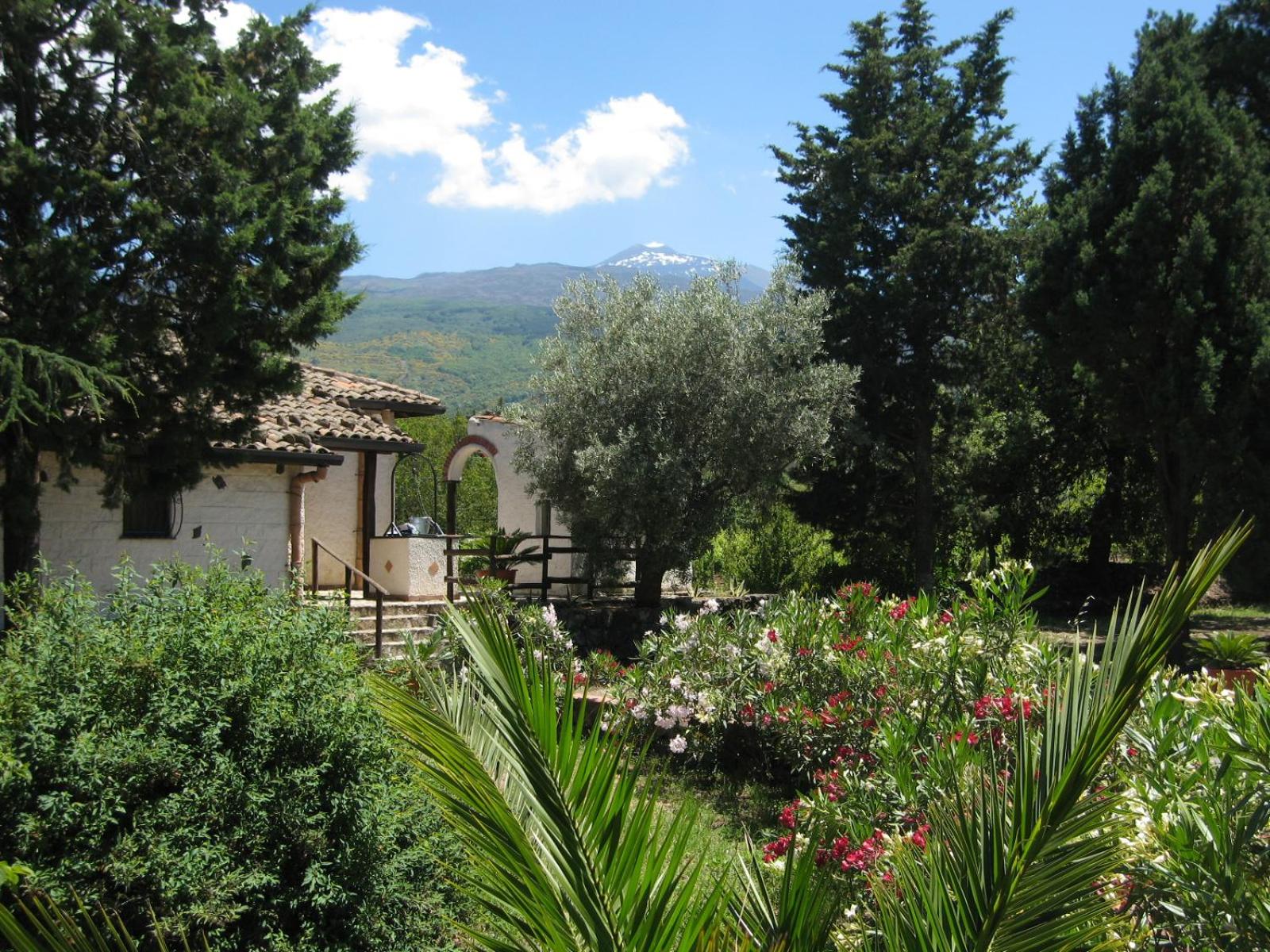 Villa VEDA
