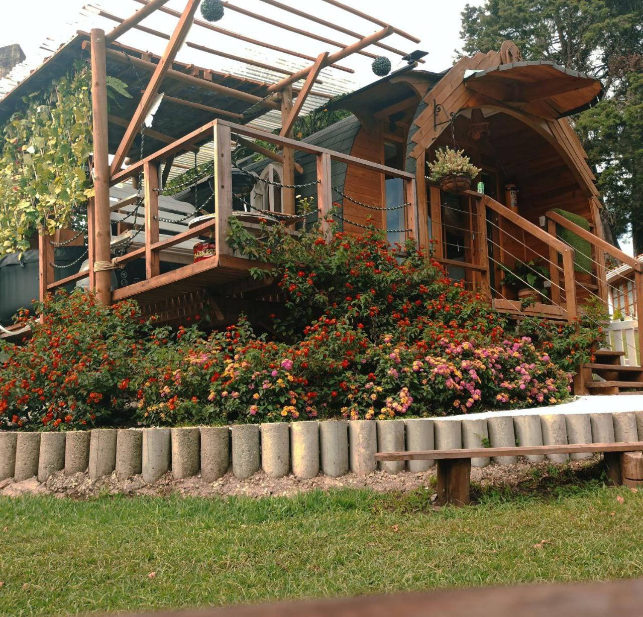 Photo 7