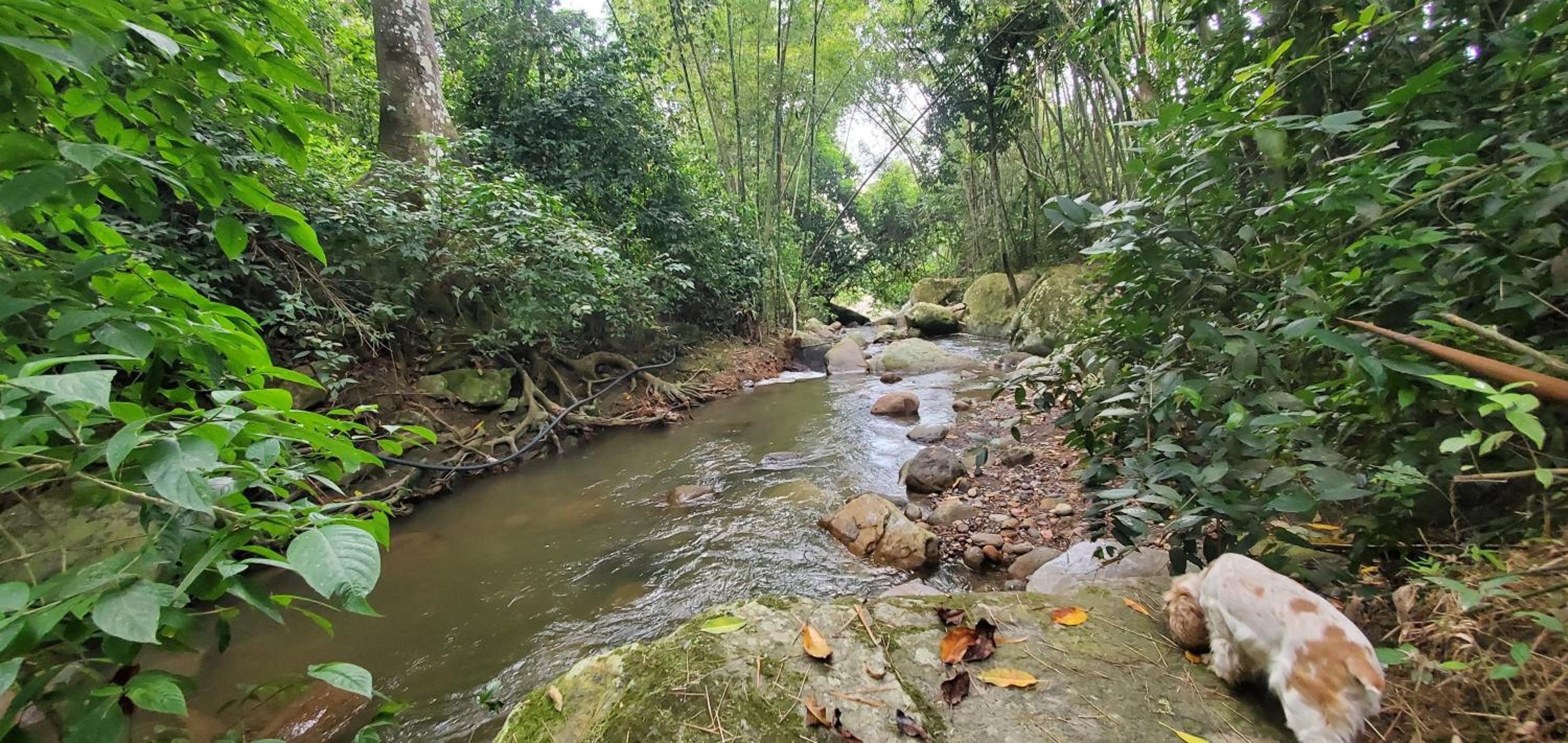 Finca Las Mercedes en encantador entorno natural