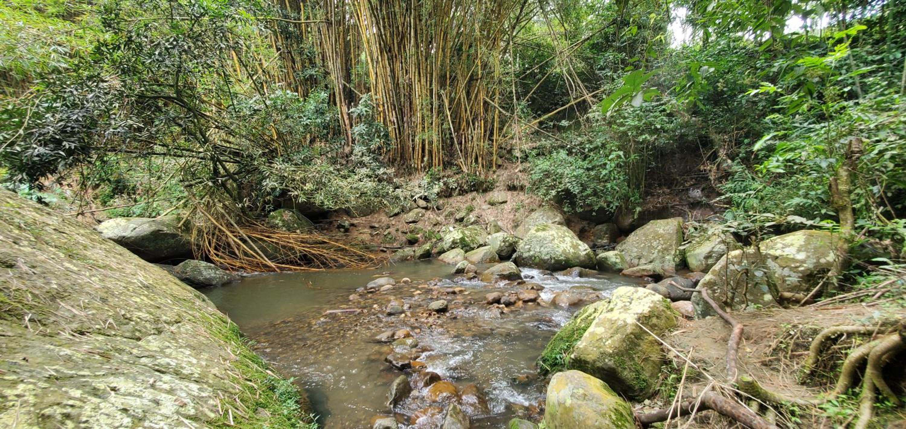 Finca Las Mercedes en encantador entorno natural