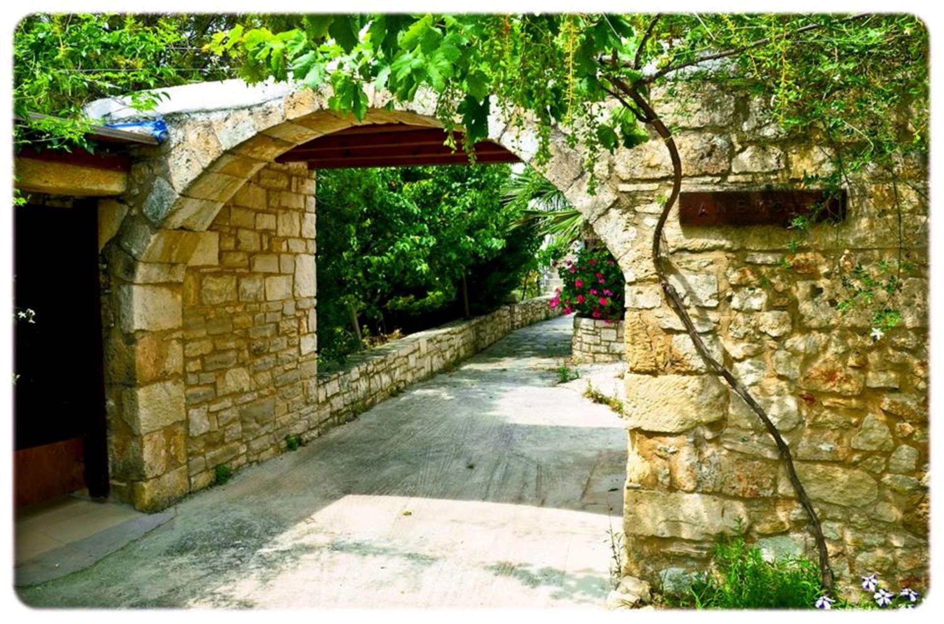 Photo 29