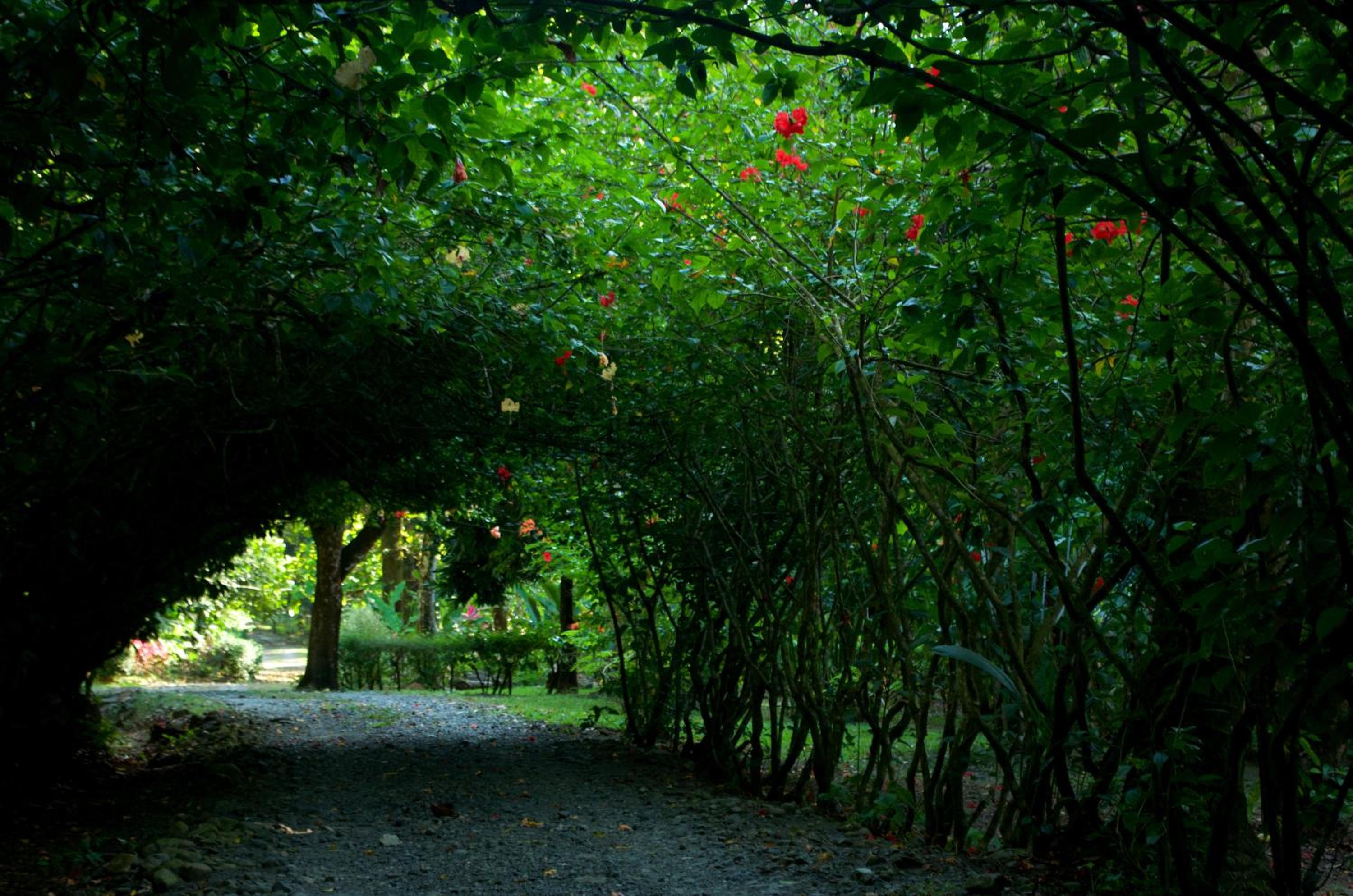 Finca la Bonita, Playa Carate view 2