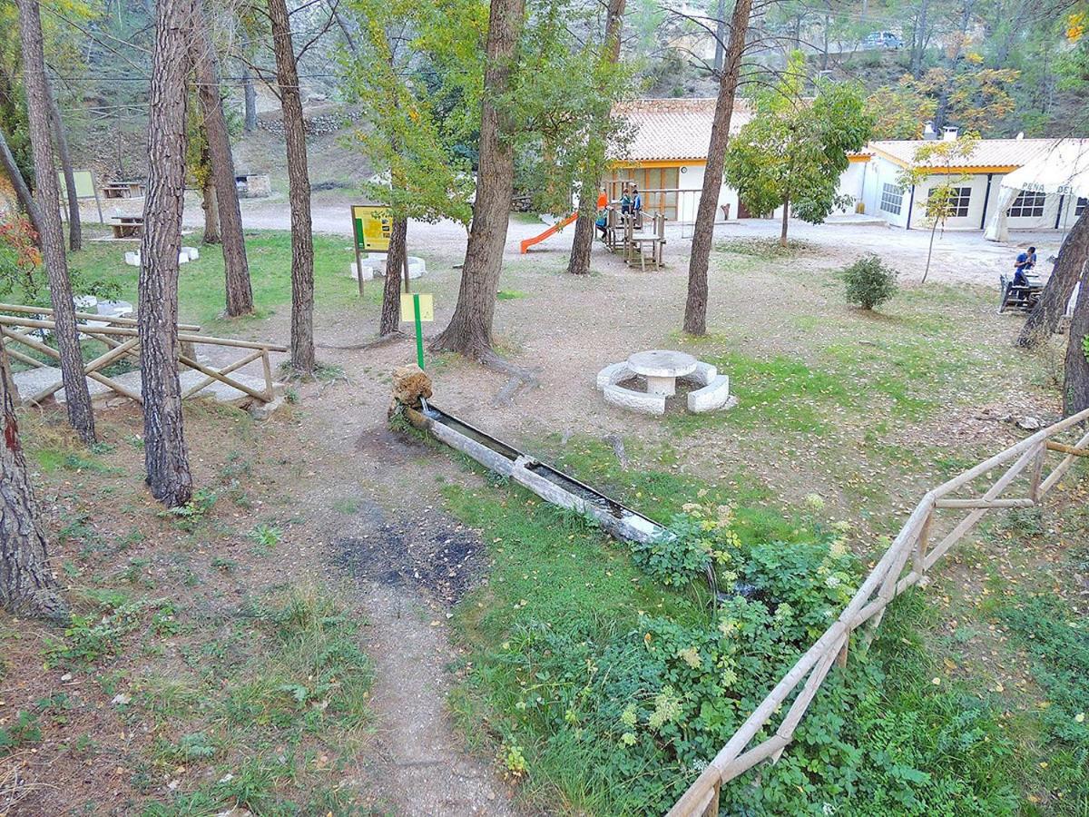 Photo 48