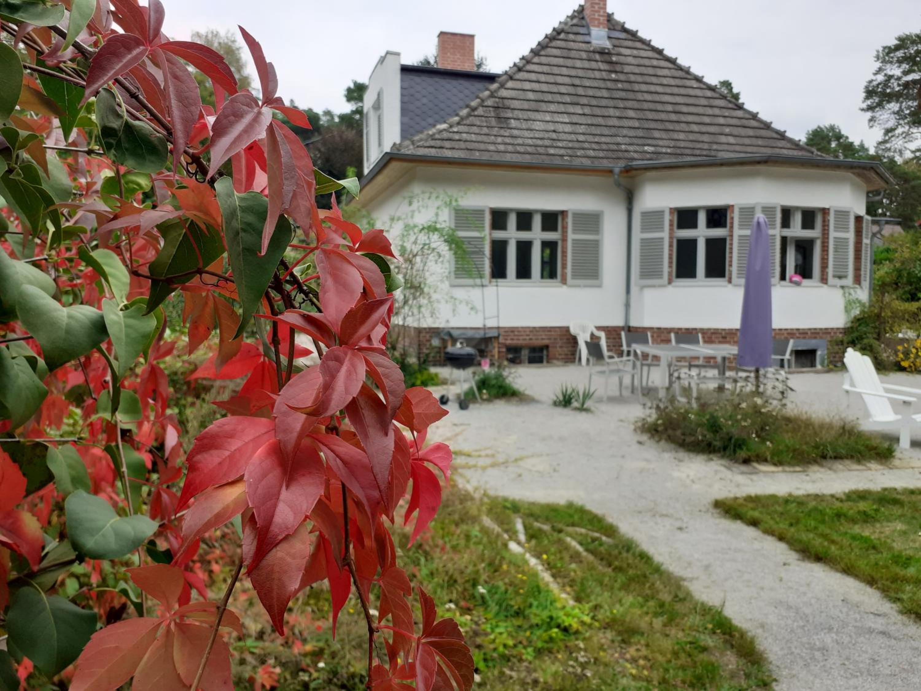 Kleines Landhaus am Wald Bad Saarow - Property Image 6