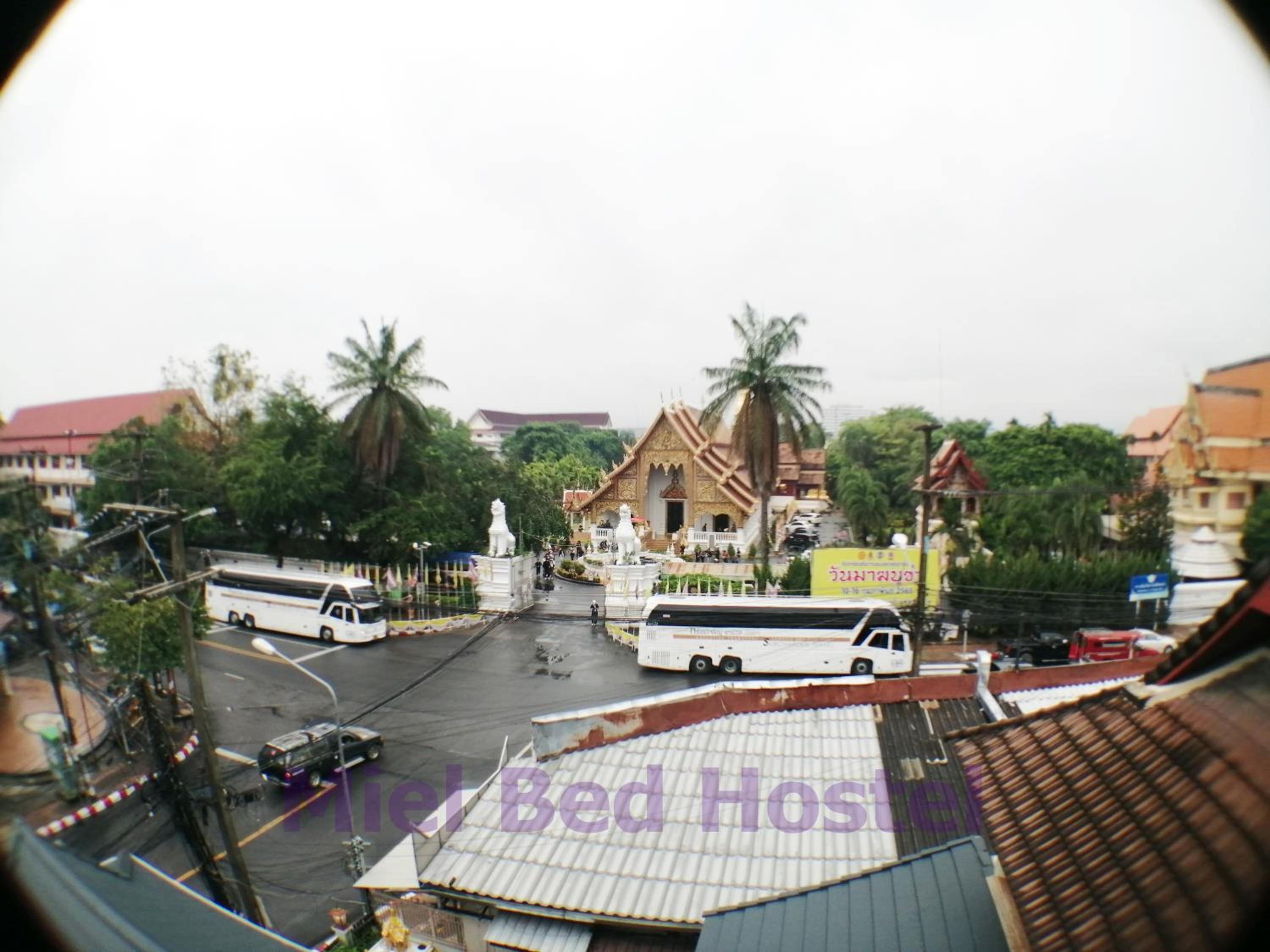 Photo 50