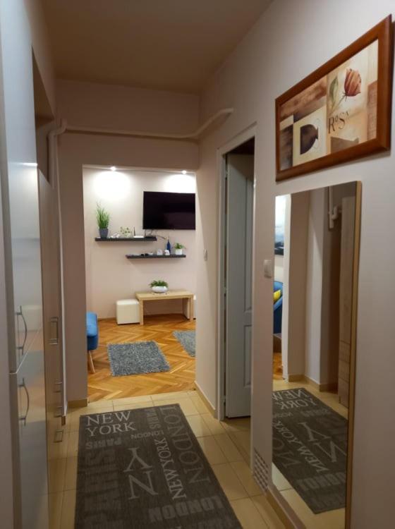 Zenit Apartman view 4