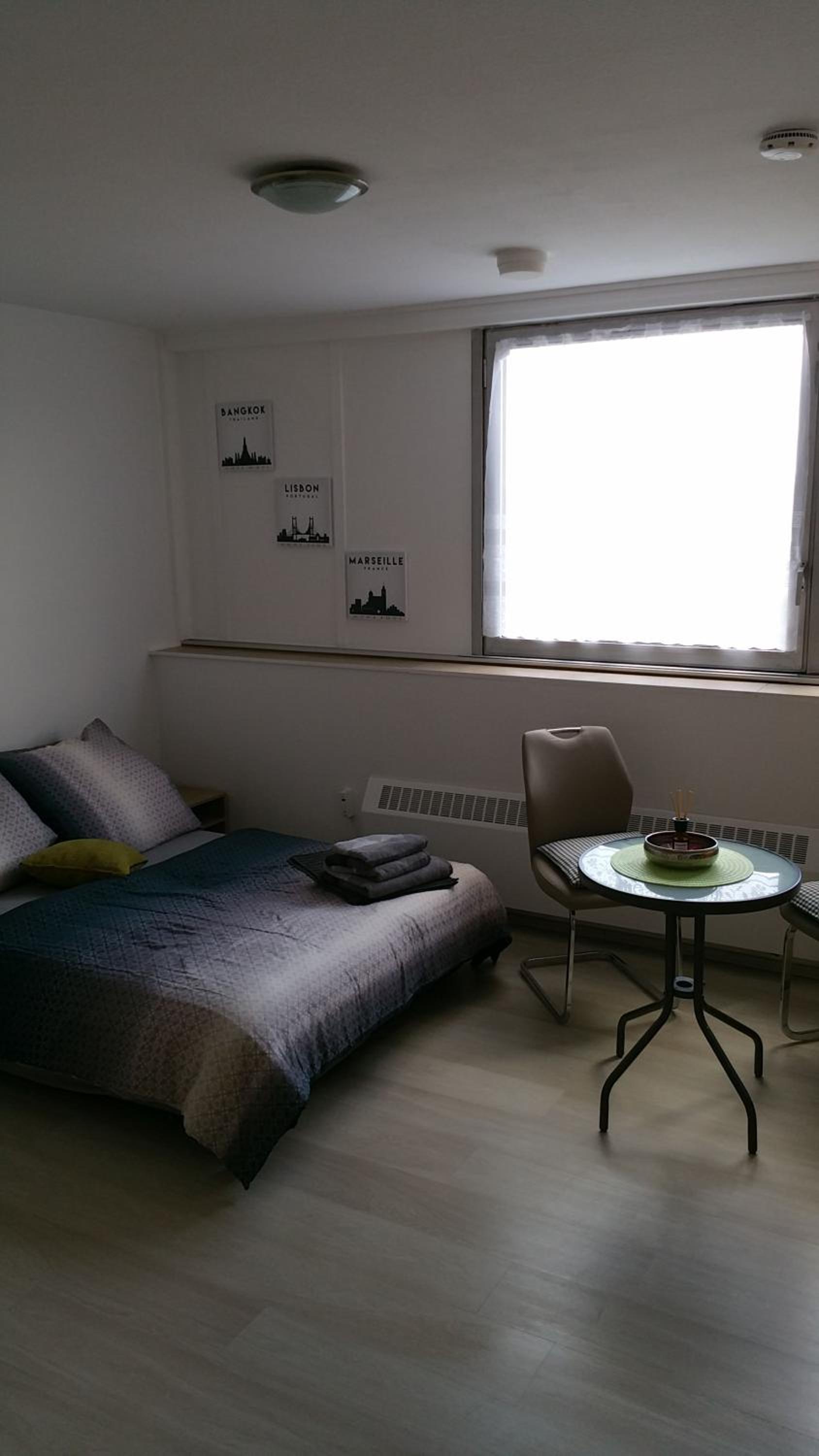 Studio-Apartment, zentral gelegen view 4