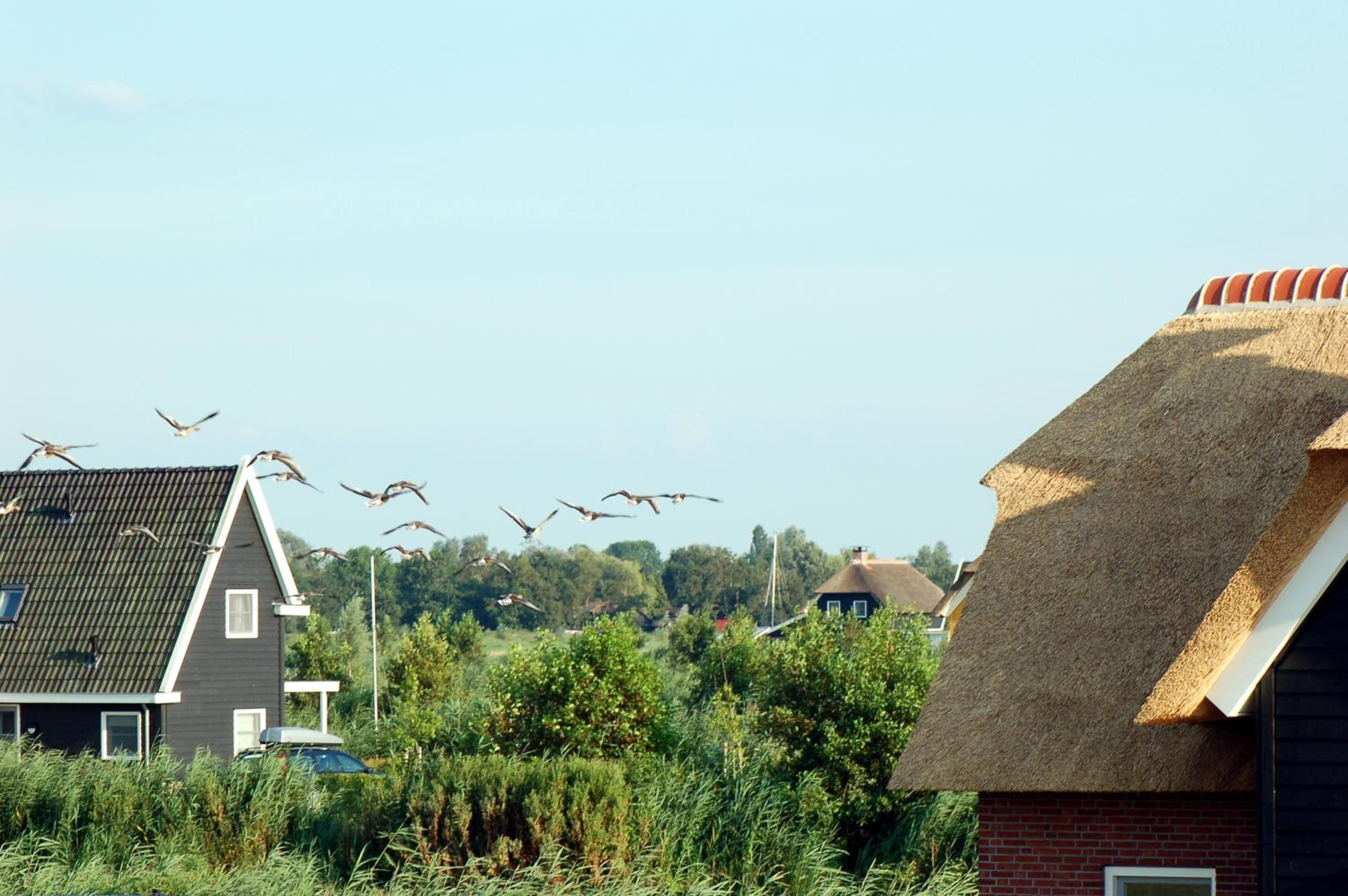 Waterresort Bodelaeke Giethoorn