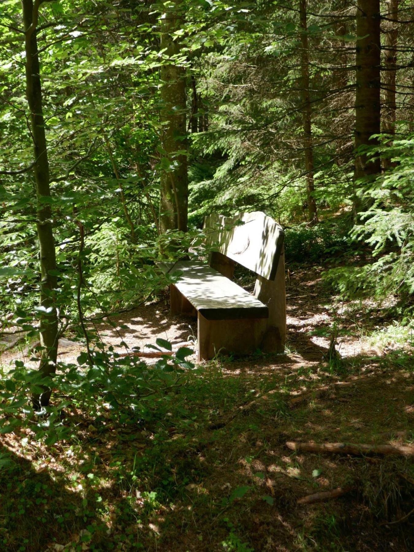Fewo Furtwangen