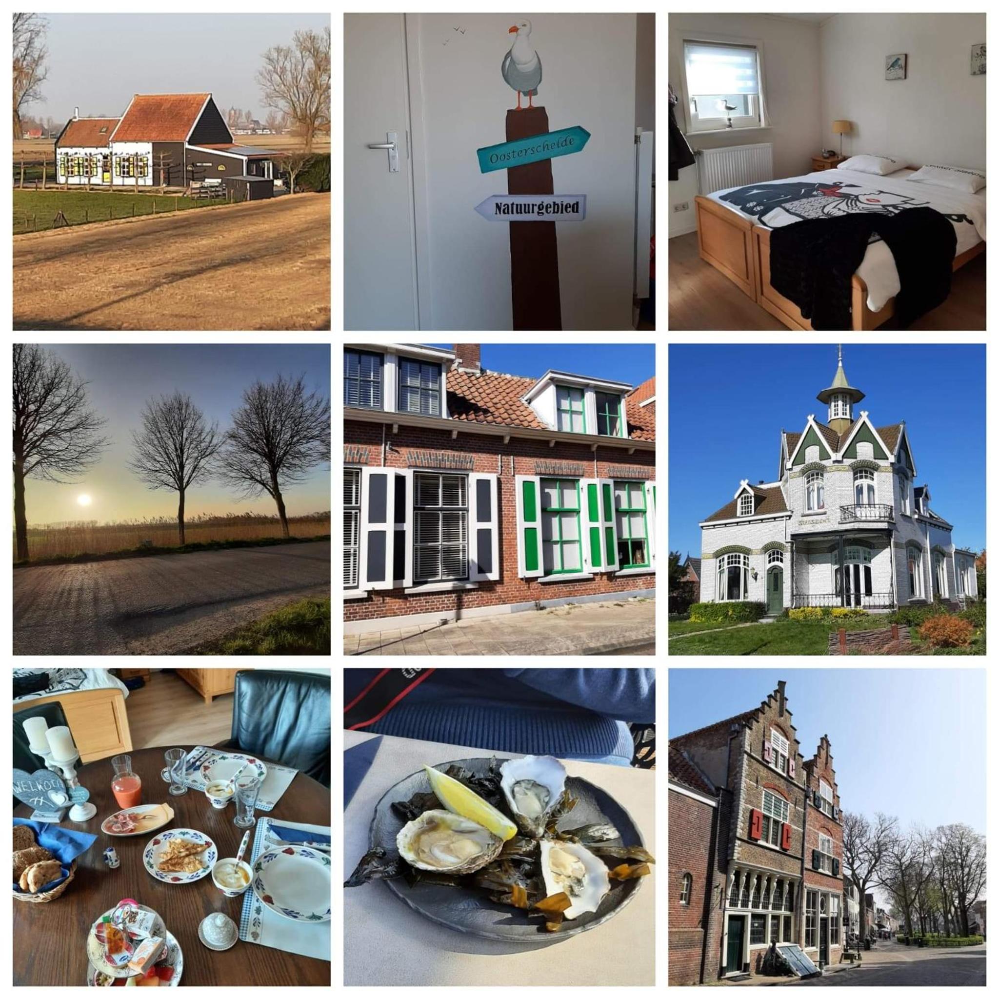 De Nieuwe Stal view 4
