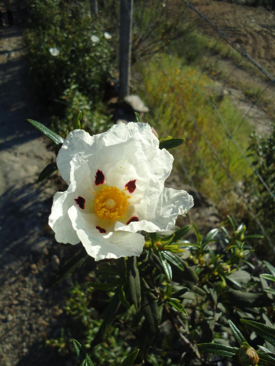 Photo 35