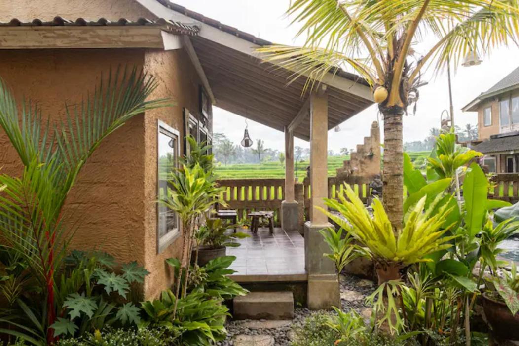 Photo 37