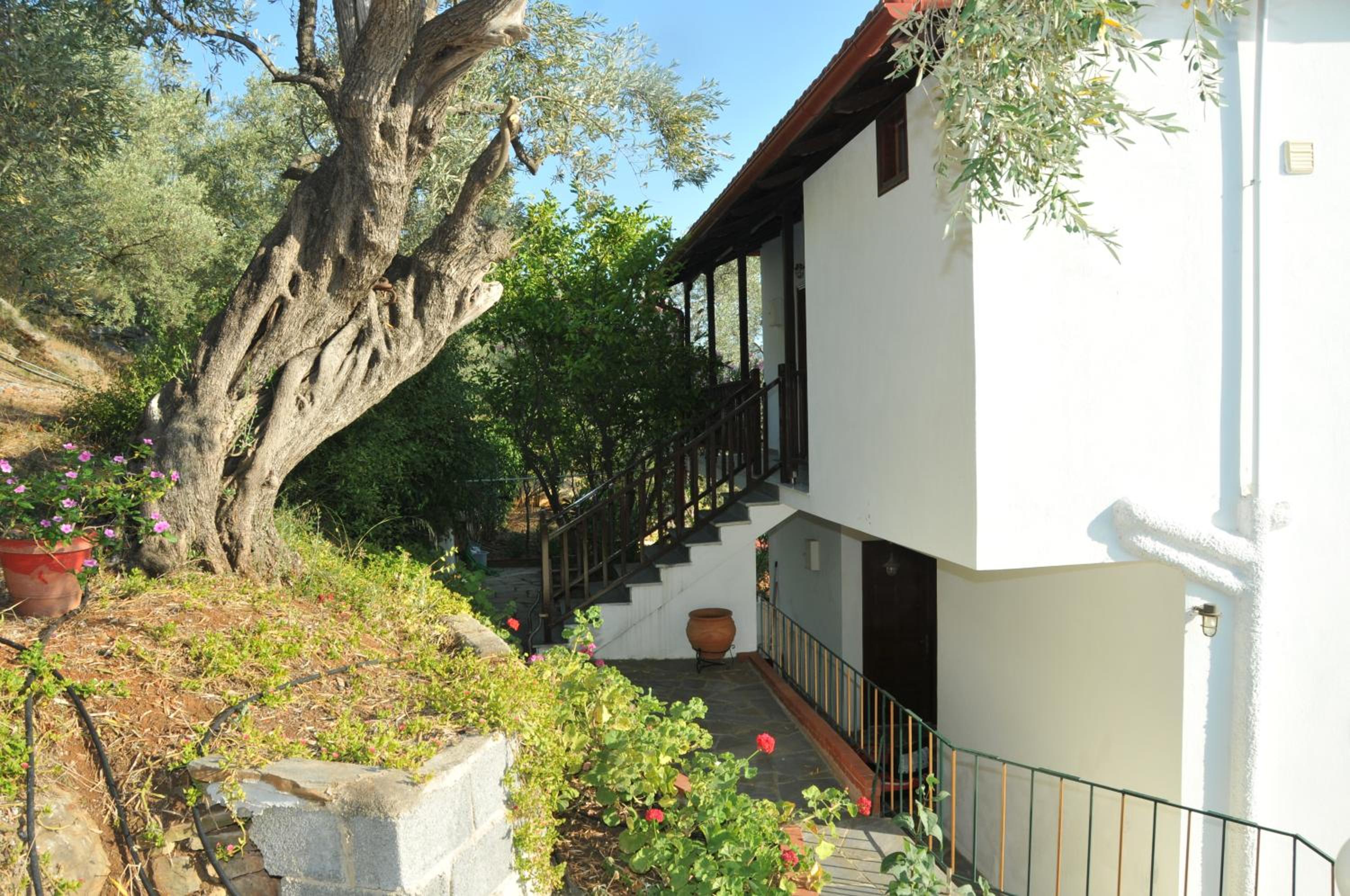 Violetta Studios & Apartments photo 2
