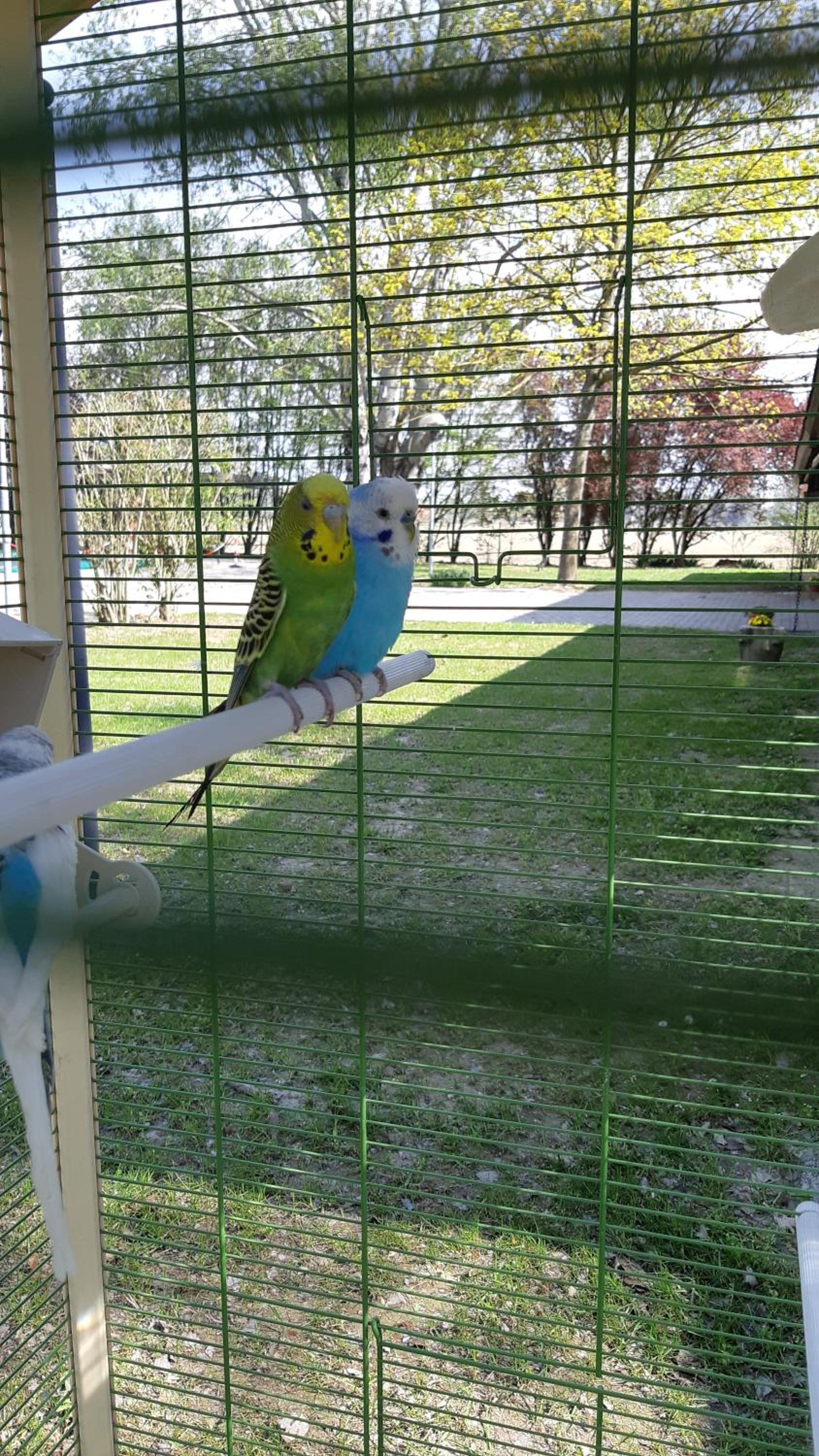 Photo 43