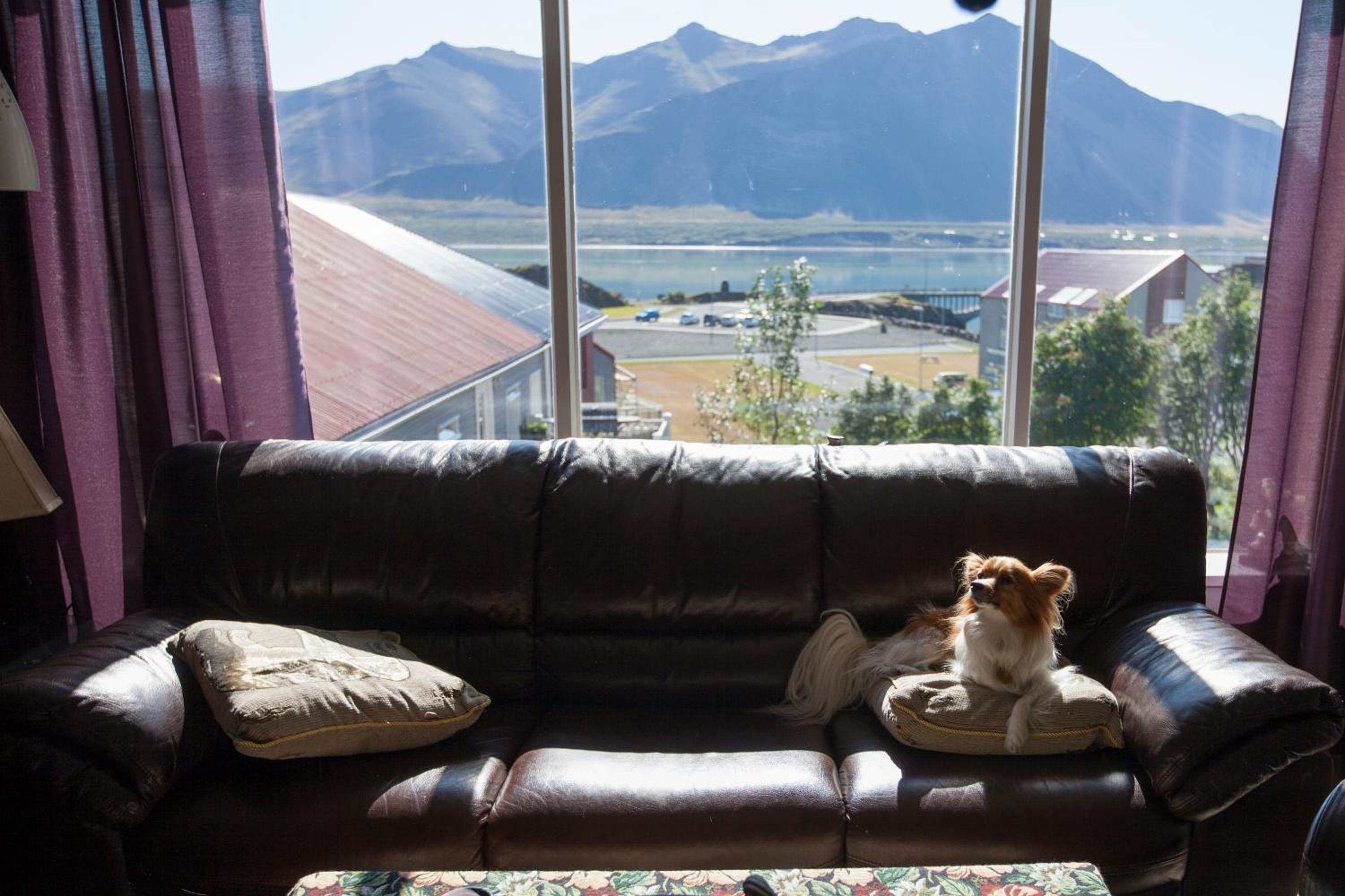 Blómasetrið Homestay