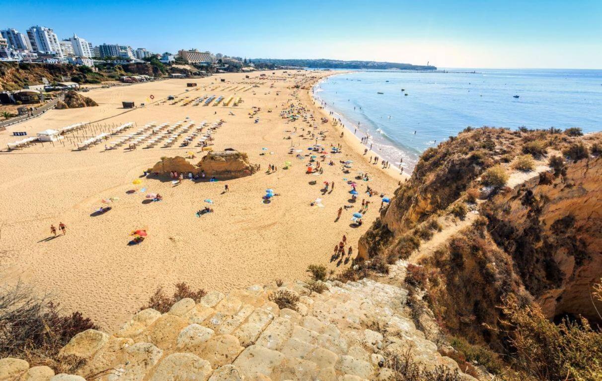 El Oásis Playa view 3
