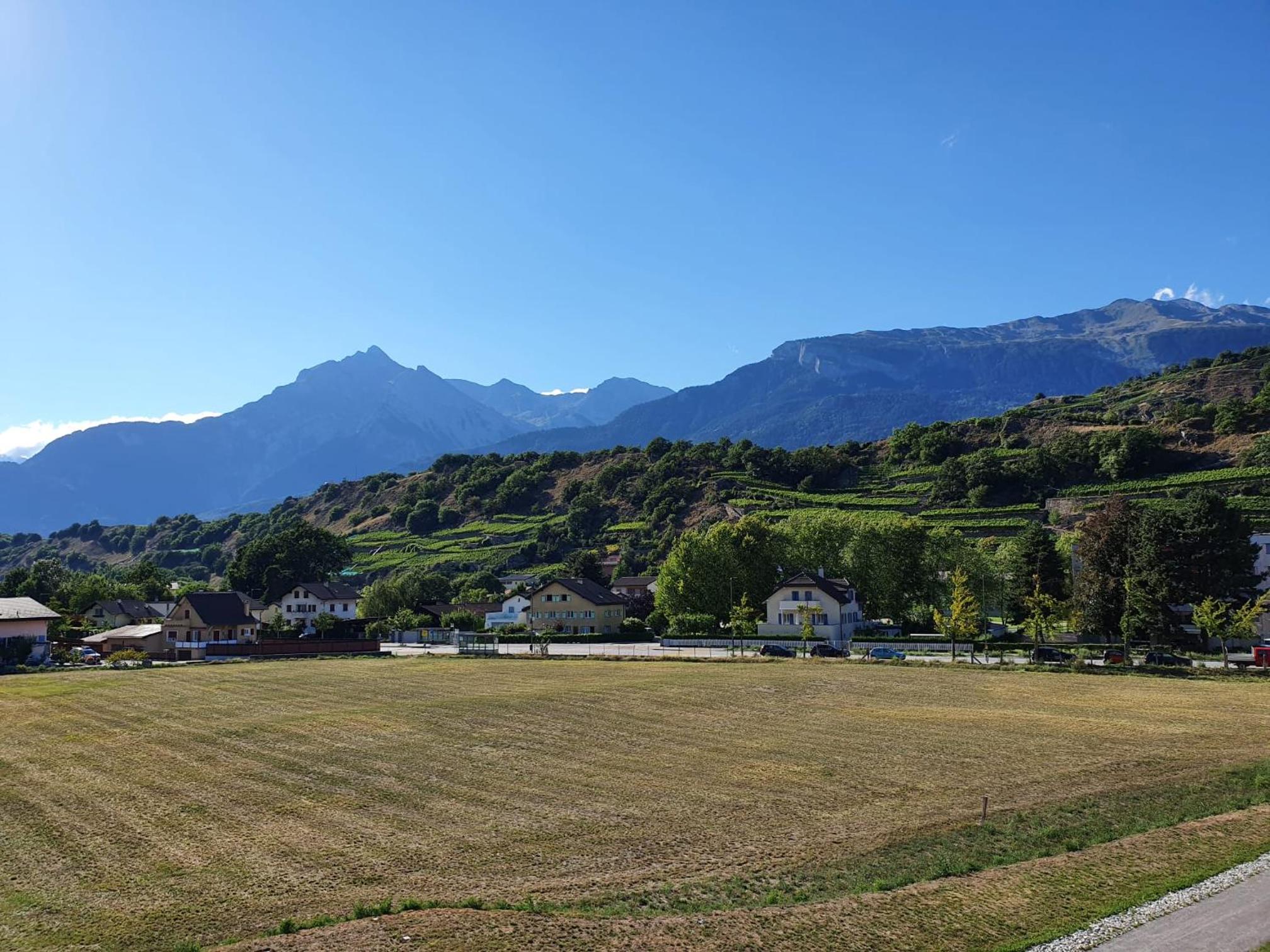 The Blackbird (Le Merle) view 4
