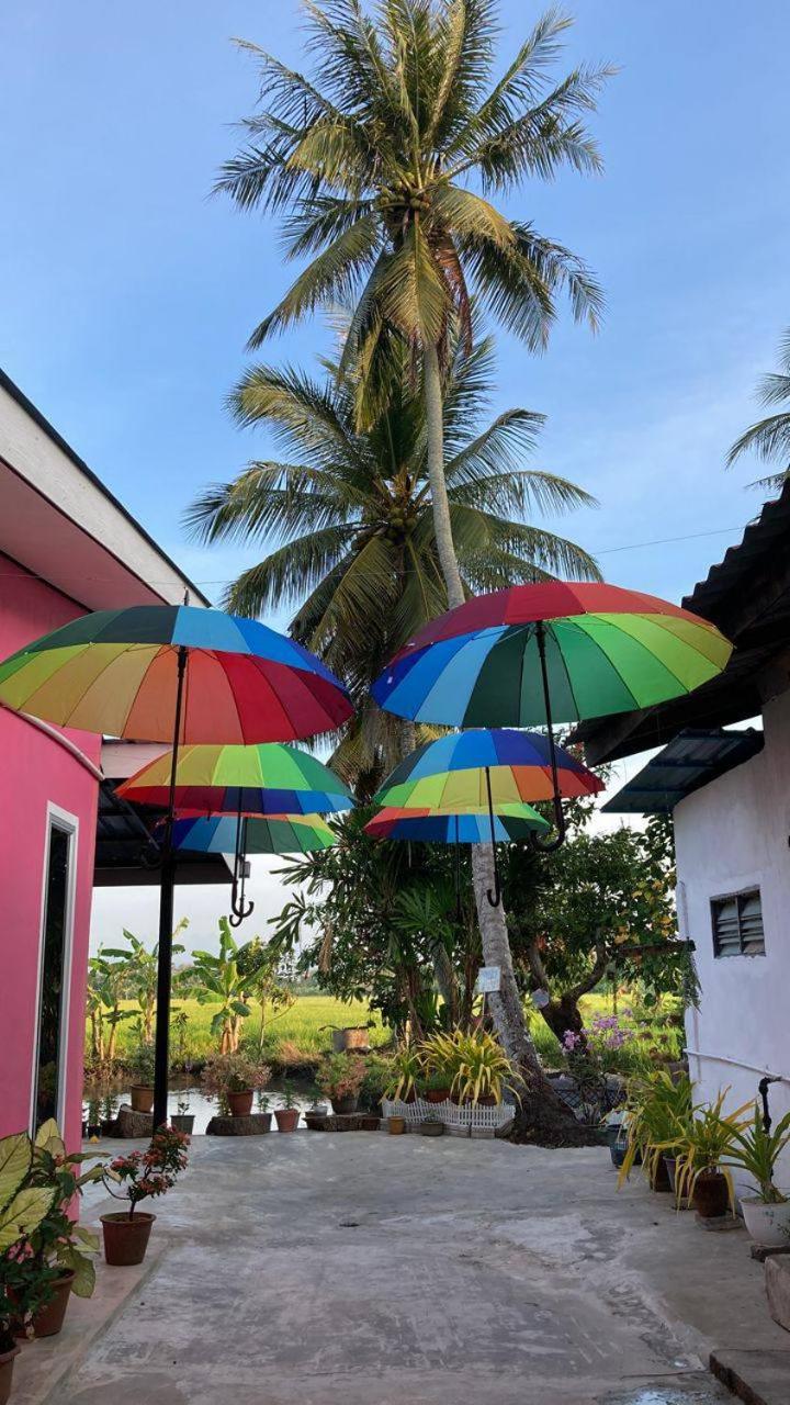 Pink Homestay D'Perlis