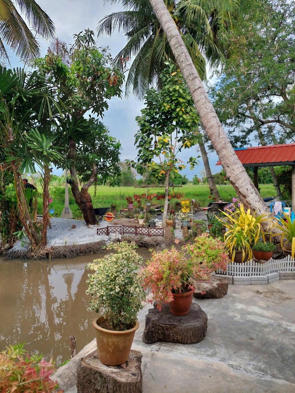 Pink Homestay D'Perlis