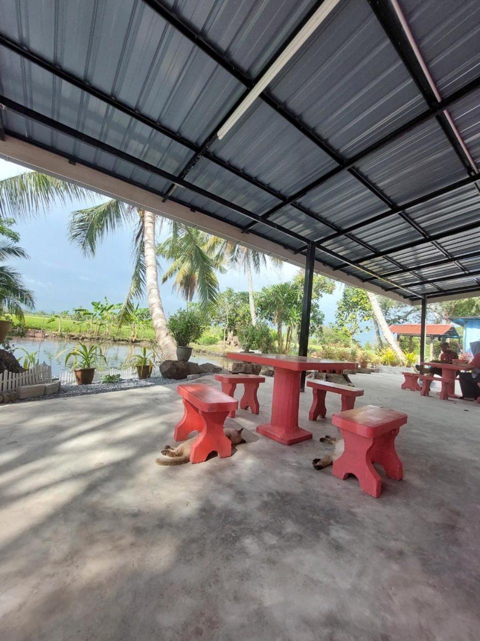 Pink Homestay D'Perlis