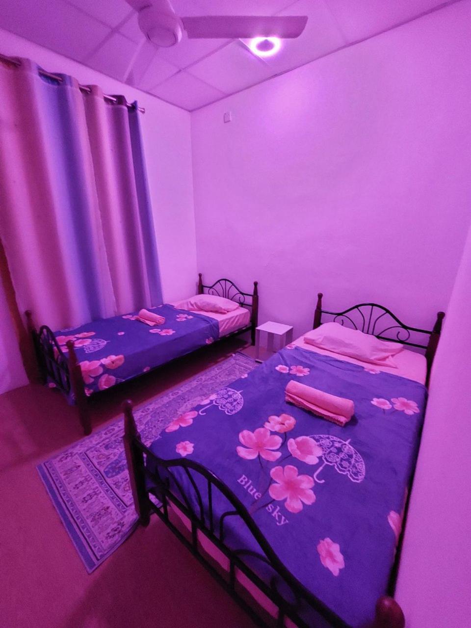 Pink Homestay D'Perlis photo 8