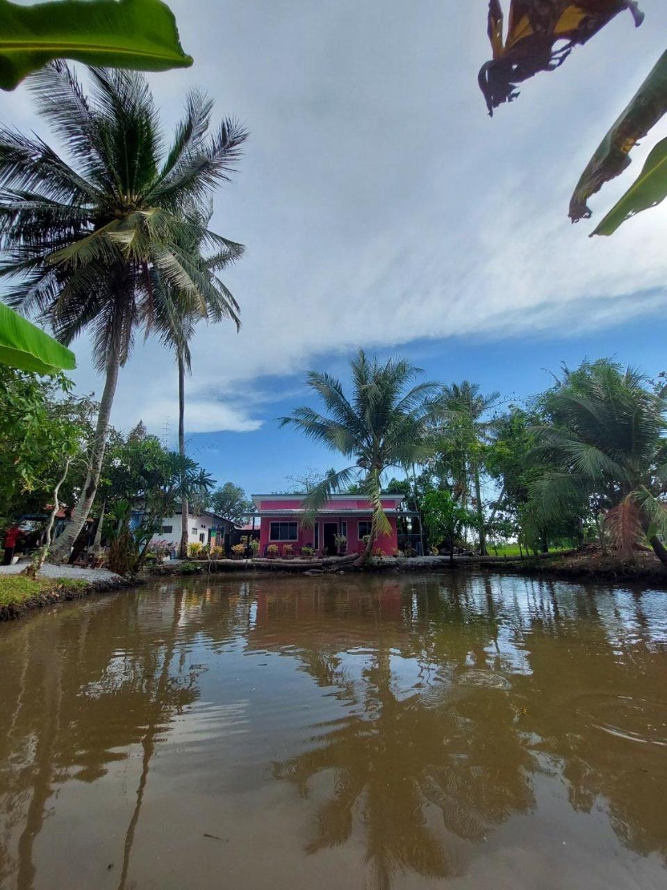 Pink Homestay D'Perlis